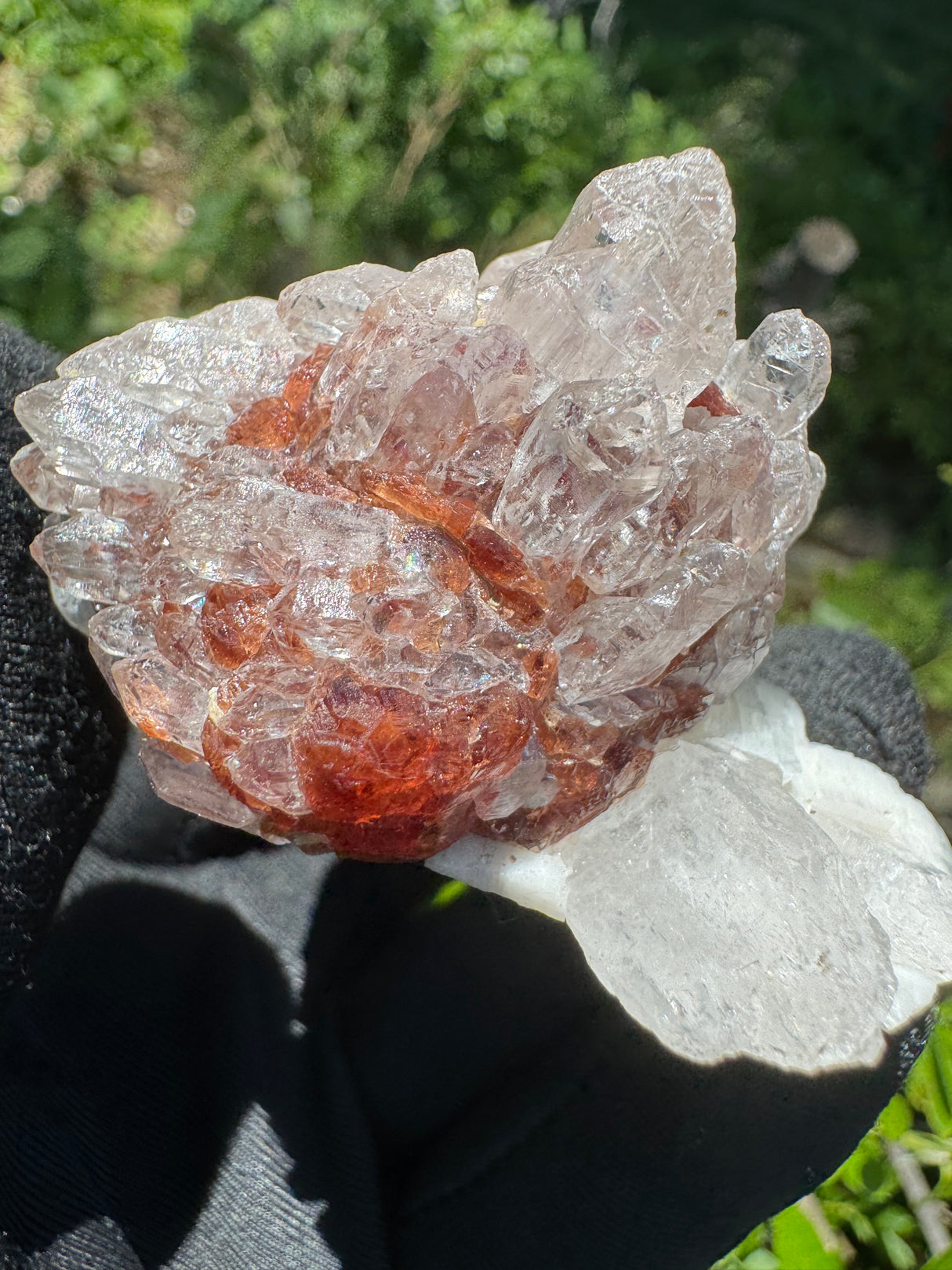 Garnet and Quartz Specimen - 116g