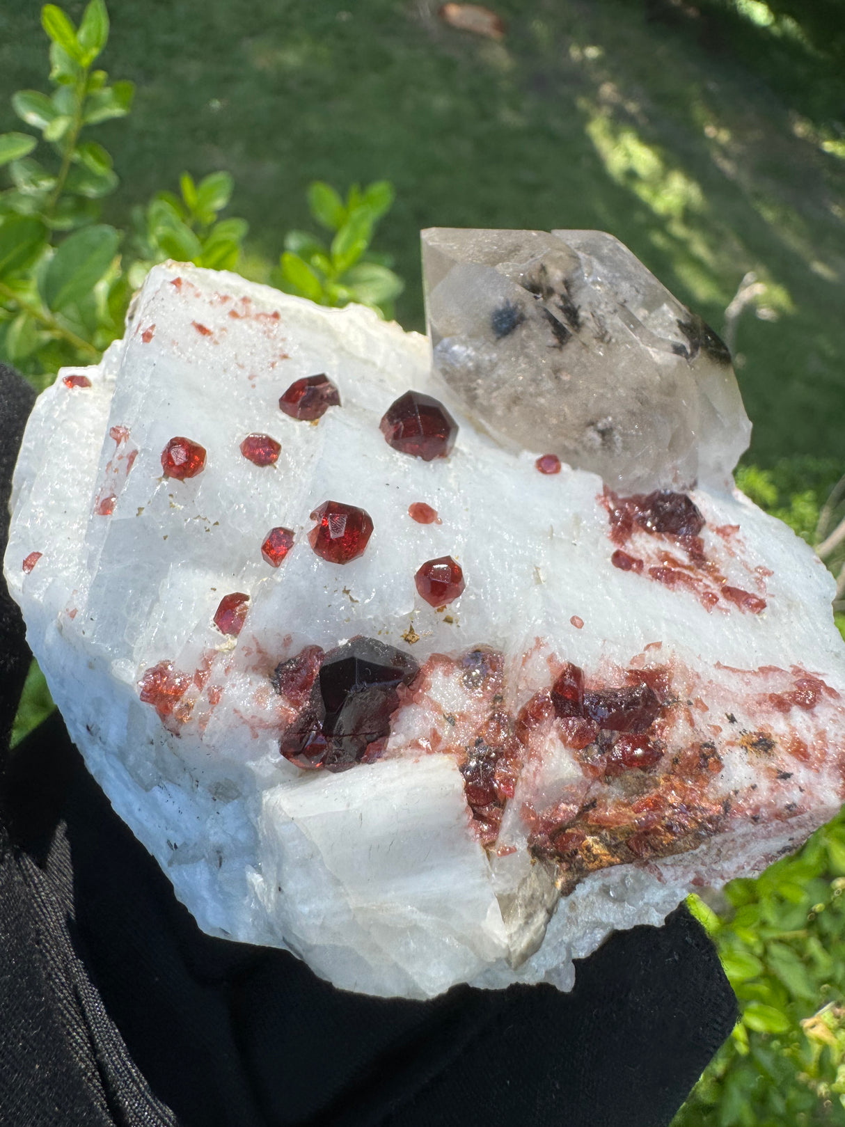 Garnet on Star Mica Specimen - 448g