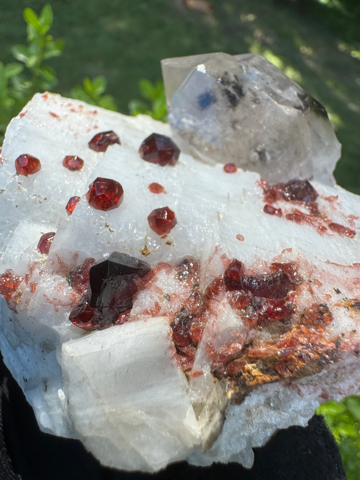 Garnet on Star Mica Specimen - 448g