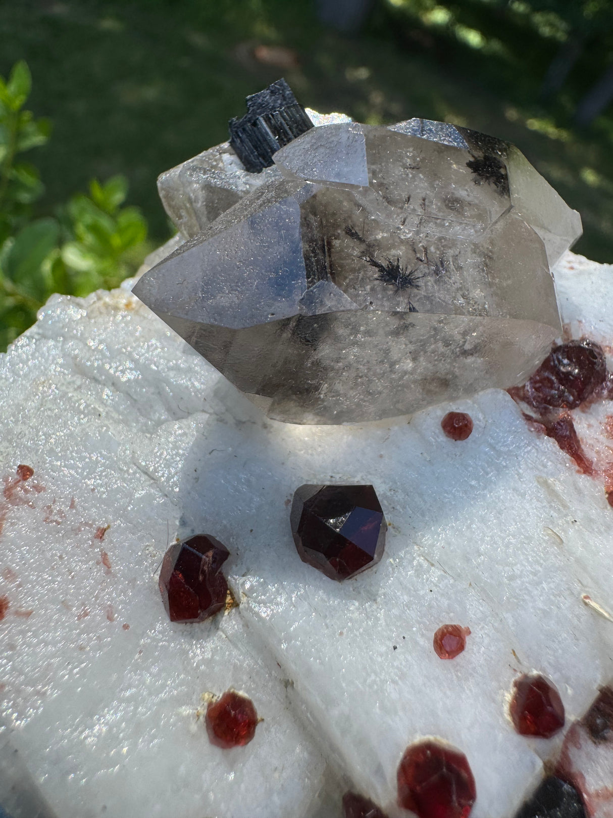 Garnet on Star Mica Specimen - 448g