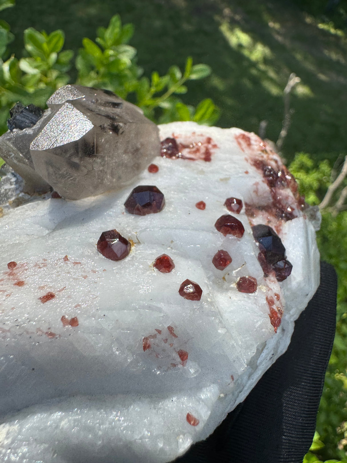 Garnet on Star Mica Specimen - 448g