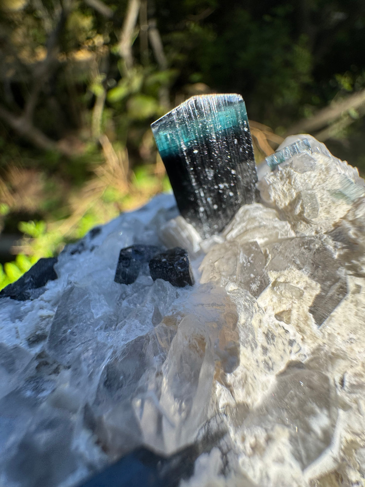 Blue Cap Tourmaline Specimen - 341g
