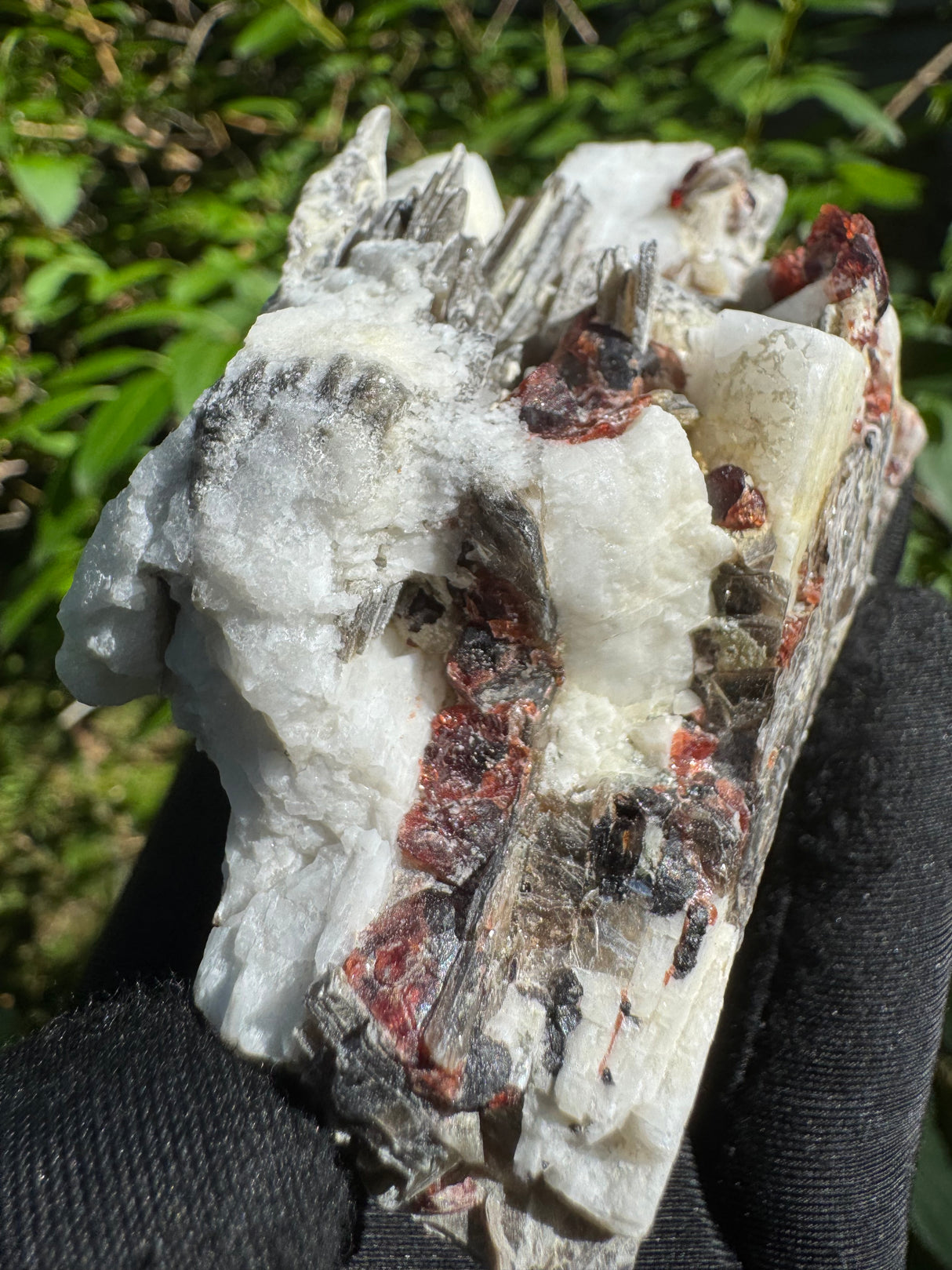Garnet on Star Mica Specimen - 253g