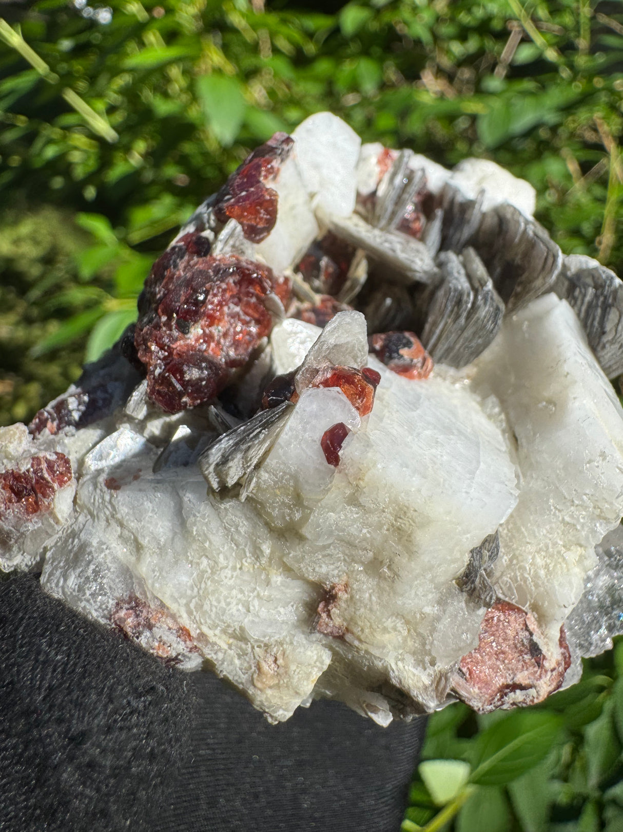 Garnet on Star Mica Specimen - 253g