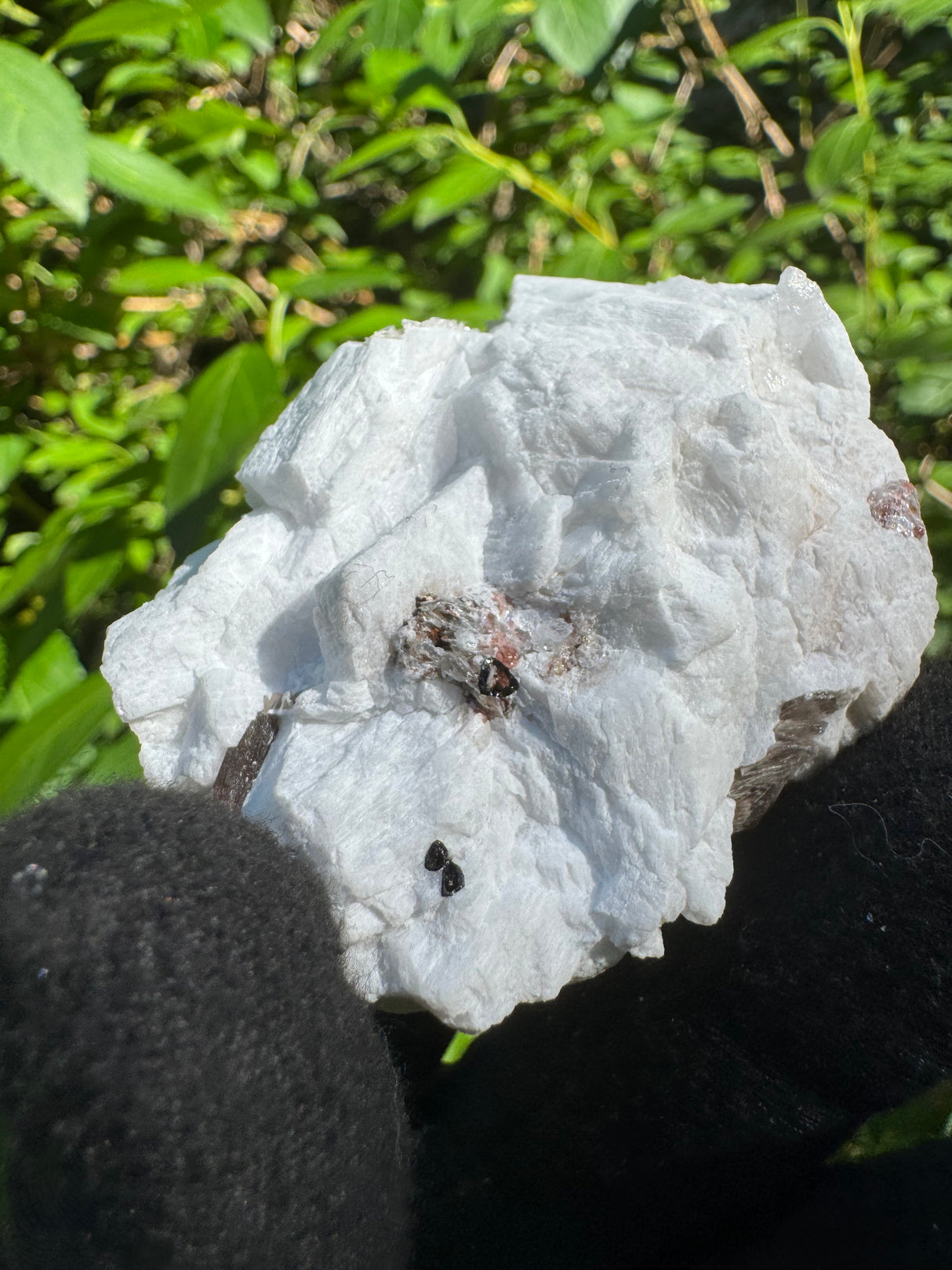 Garnet on Star Mica Specimen - 24g