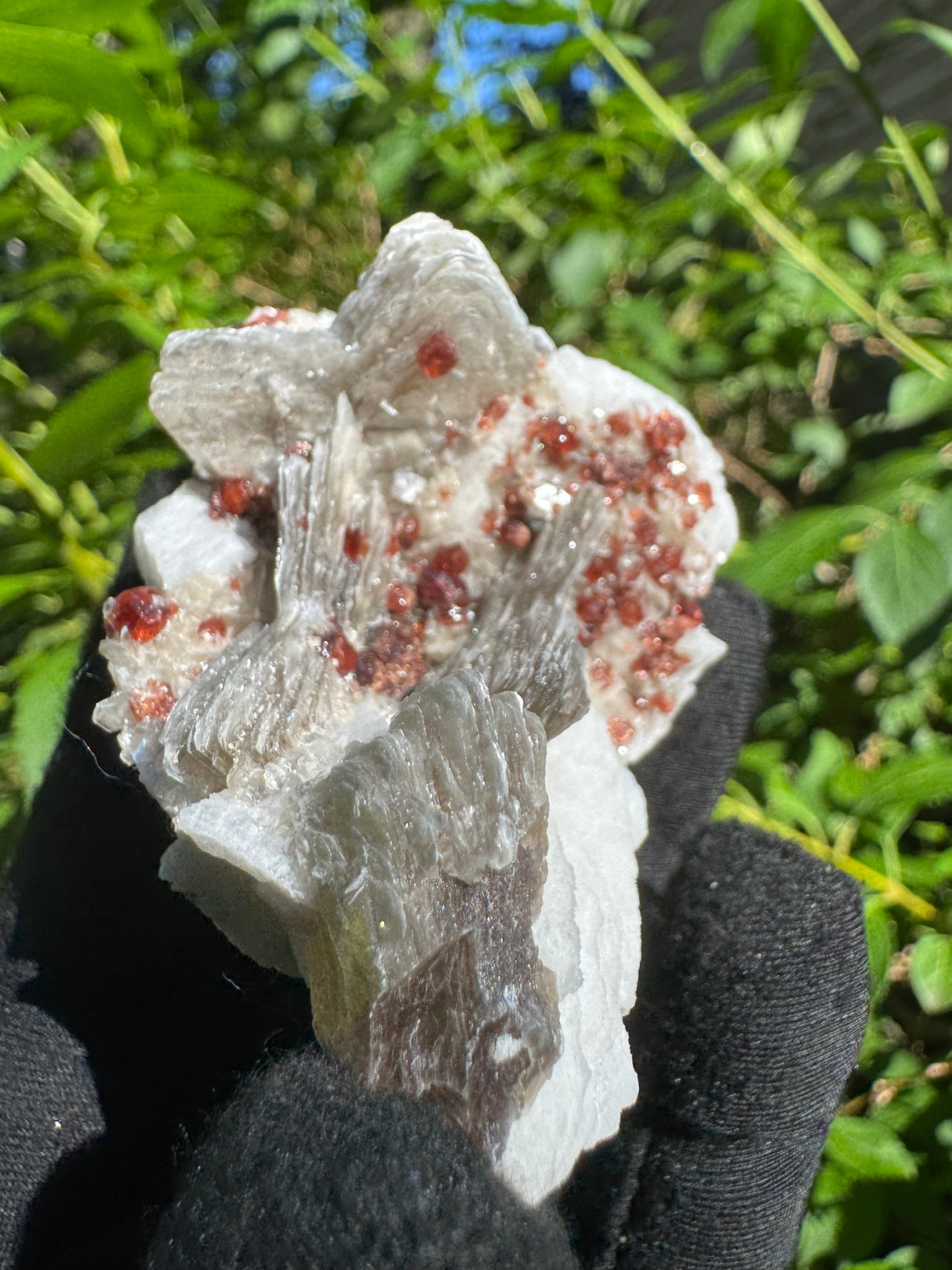 Garnet on Star Mica Specimen - 81g