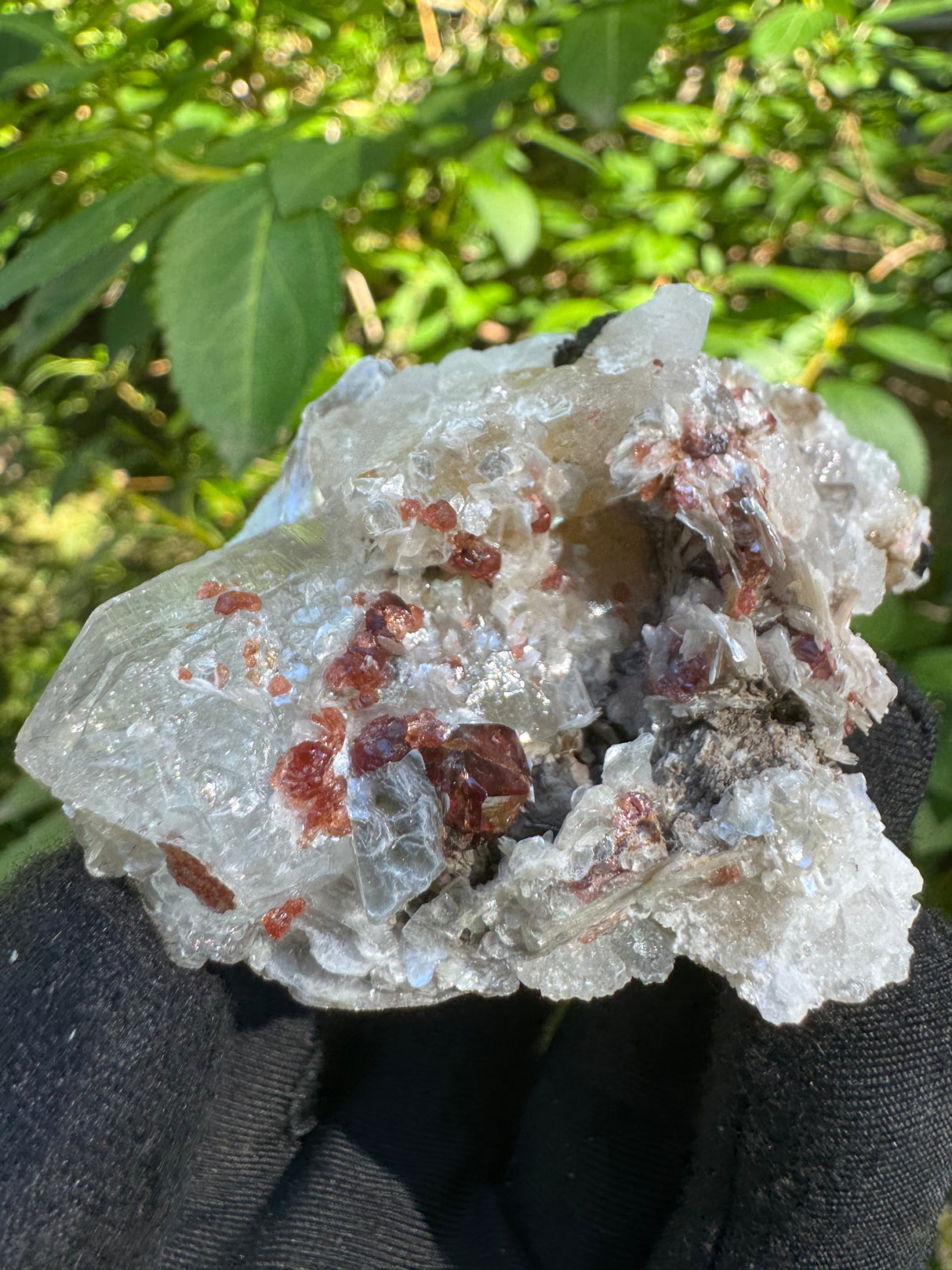 Garnet on Star Mica Specimen - 35g