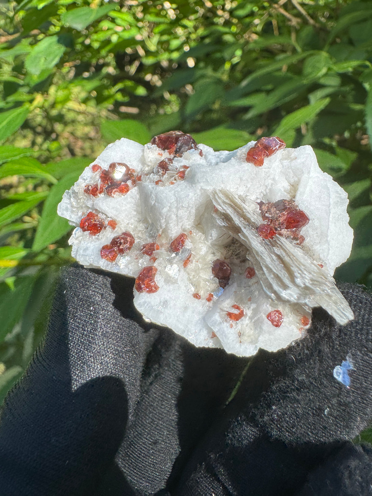Garnet on Star Mica Specimen - 30g