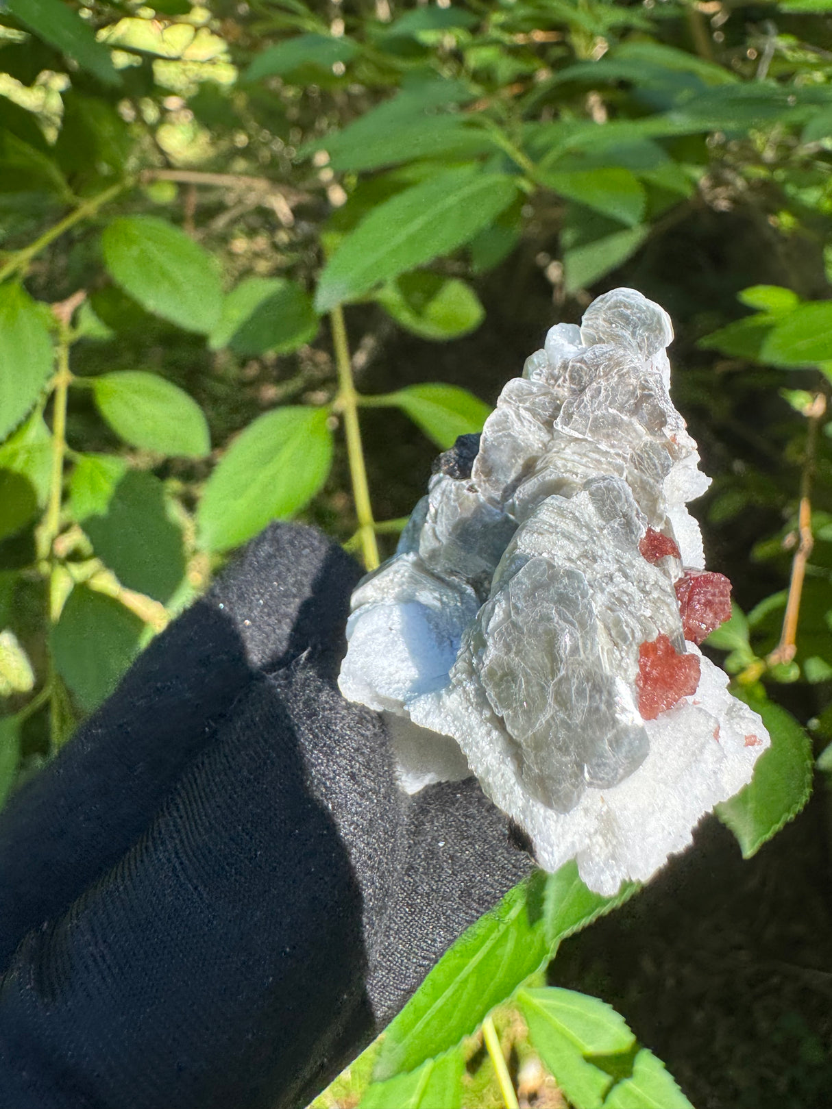 Garnet on Star Mica Specimen - 20g