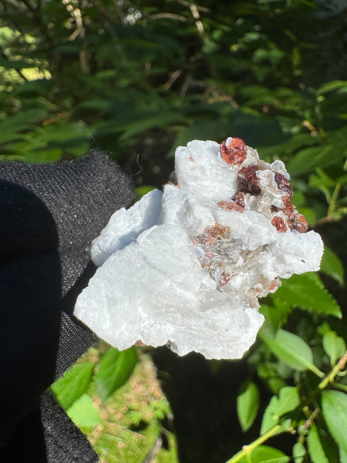 Garnet on Star Mica Specimen - 21g