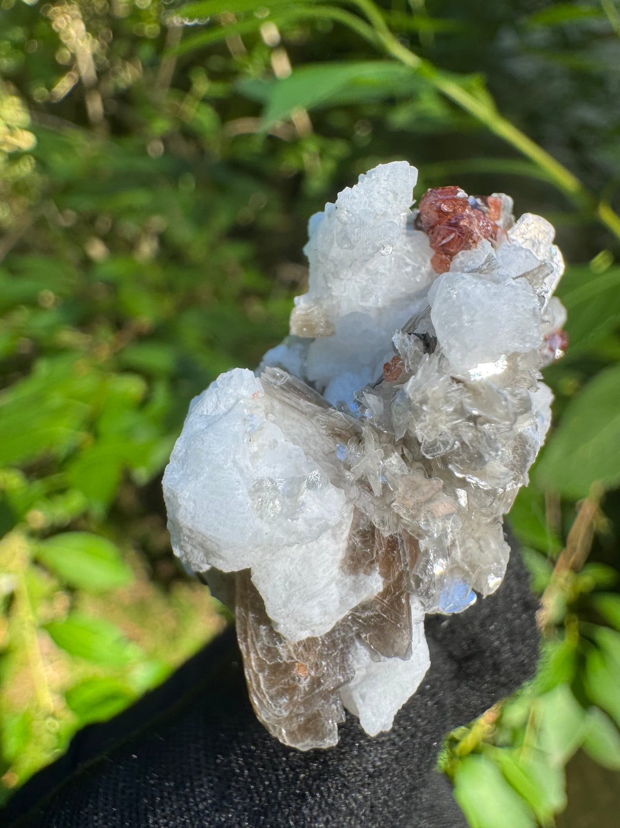 Garnet on Star Mica Specimen - 21g