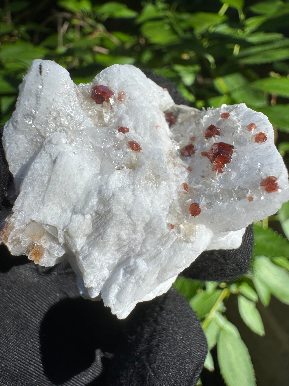 Garnet on Star Mica Specimen - 23g
