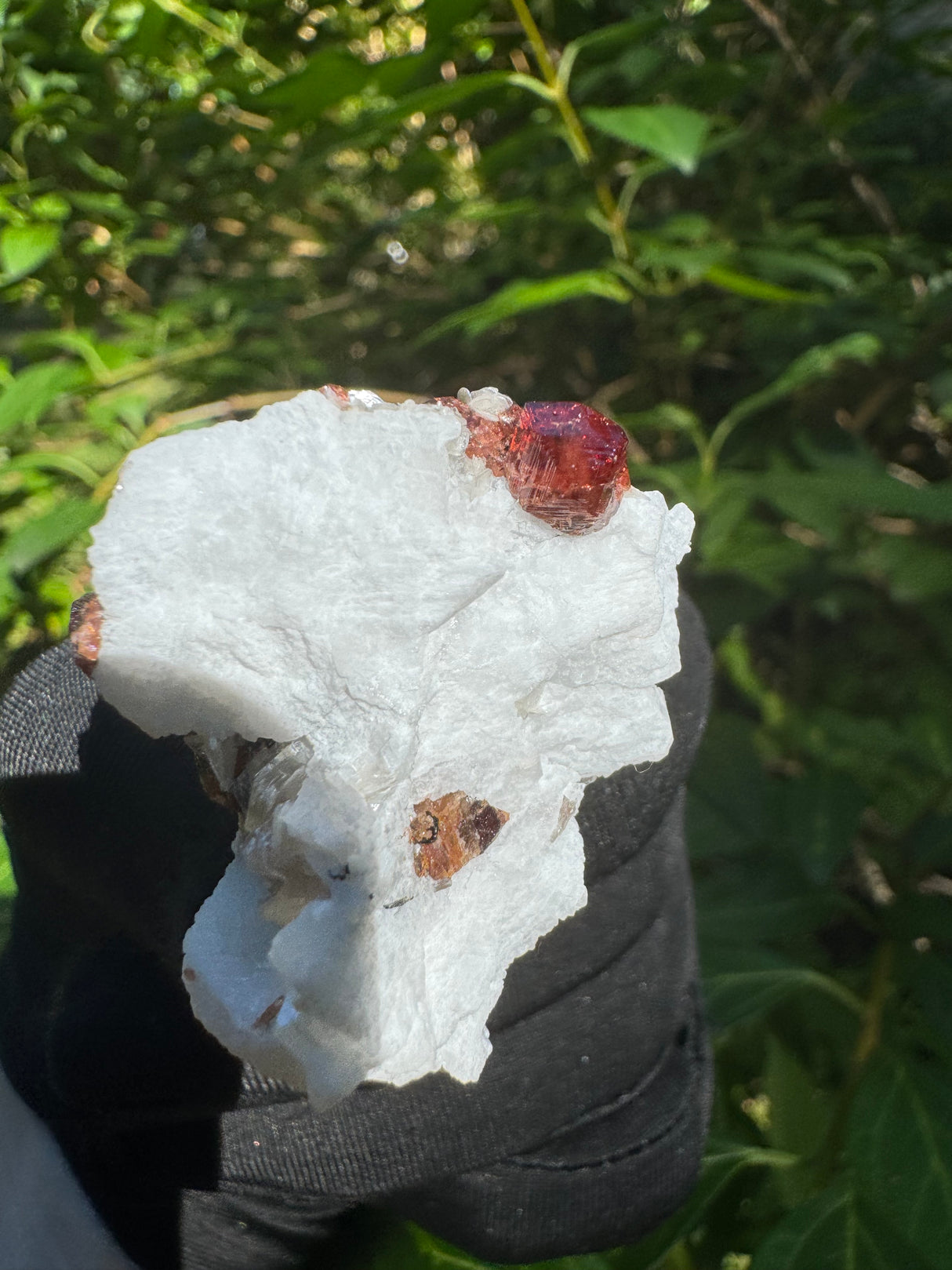 Garnet on Star Mica Specimen - 22g