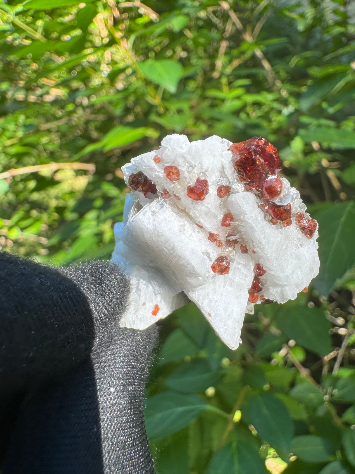 Garnet on Star Mica Specimen - 22g