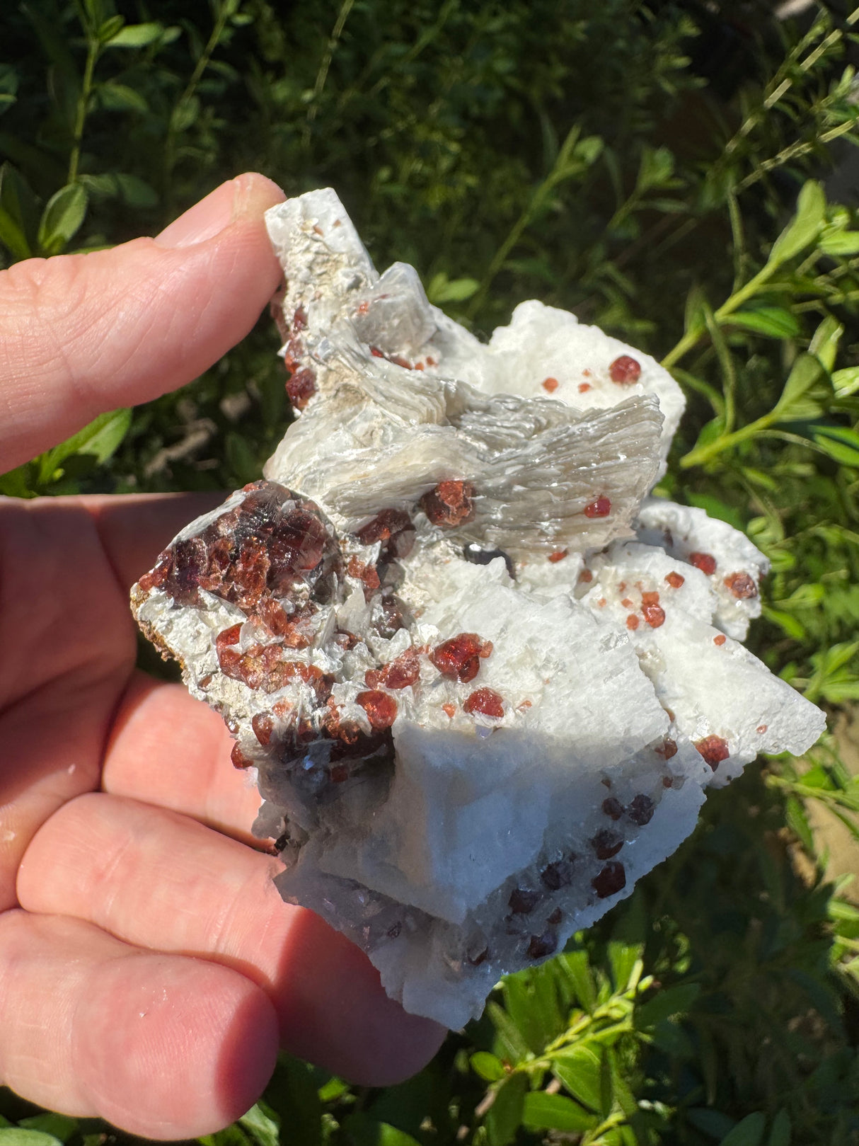 Garnet on Star Mica Specimen - 274g