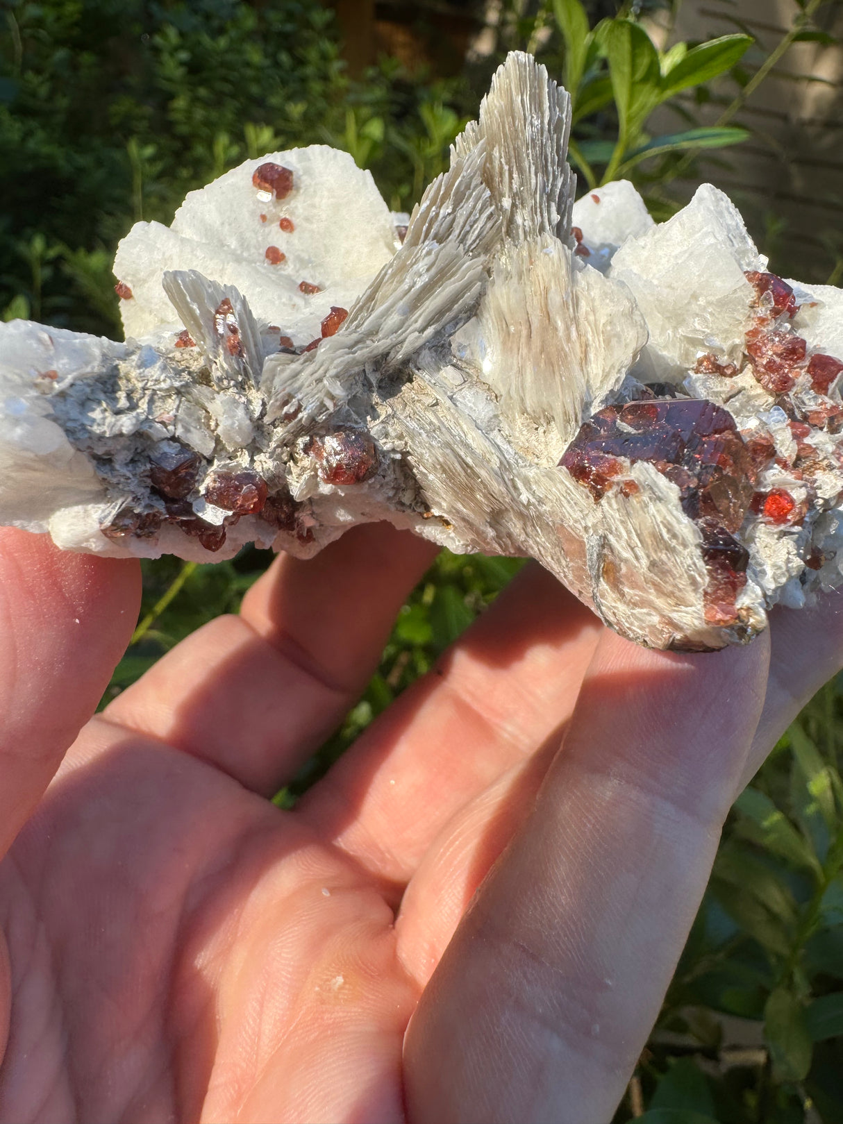 Garnet on Star Mica Specimen - 274g