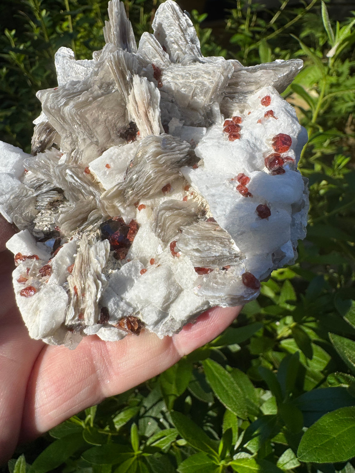 Garnet on Star Mica Specimen - 301g