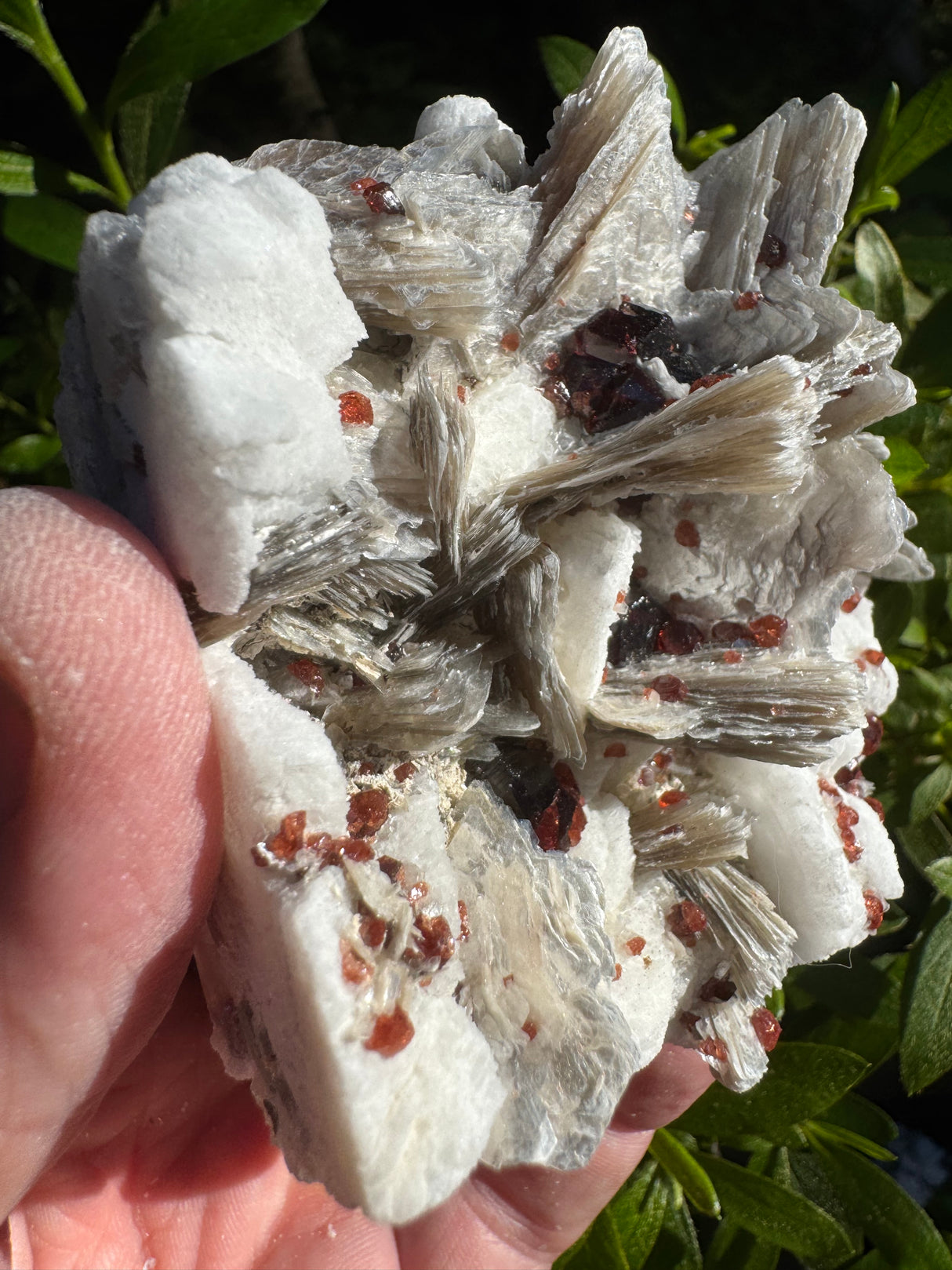 Garnet on Star Mica Specimen - 301g