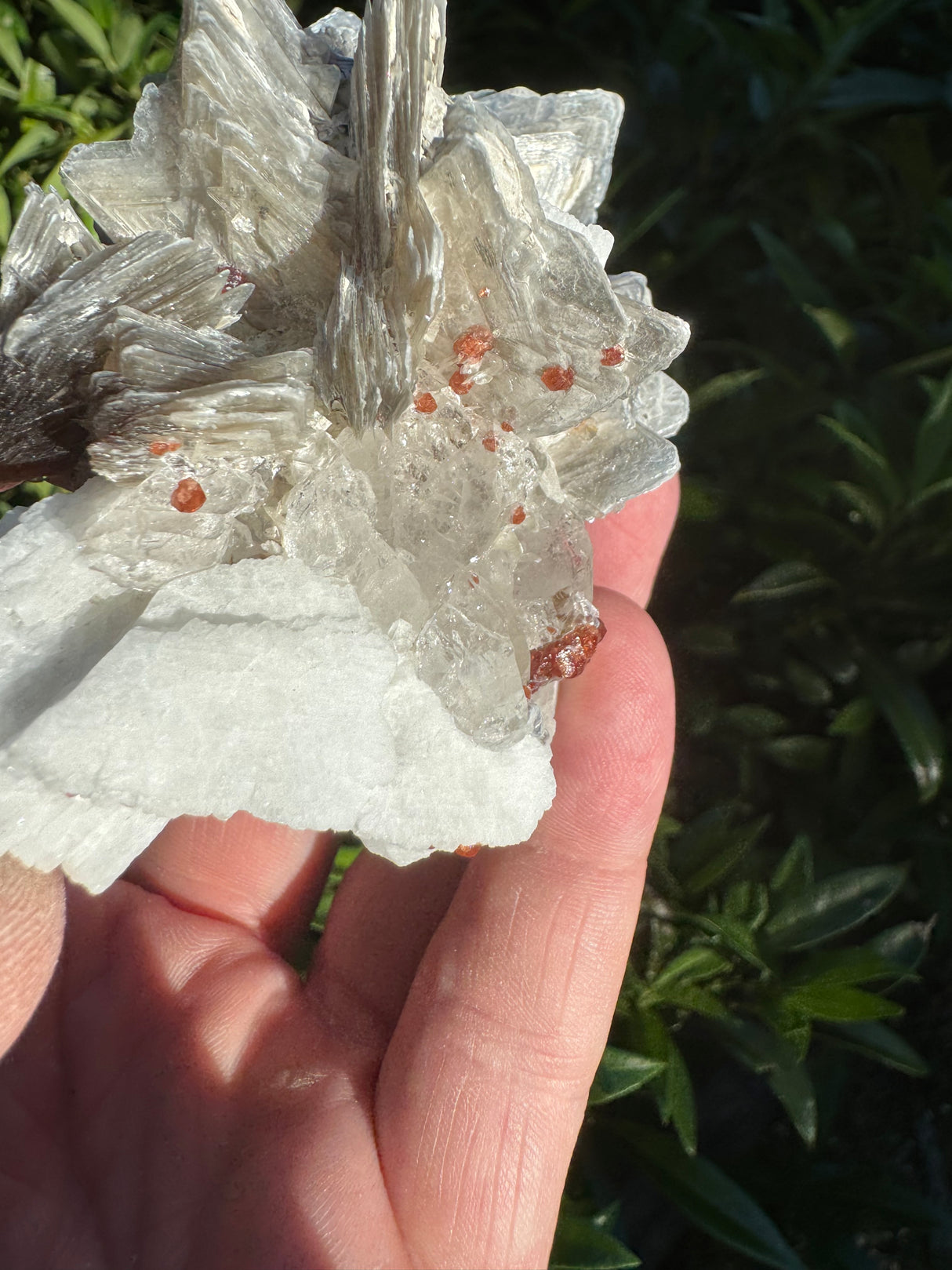 Garnet on Star Mica Specimen - 162g
