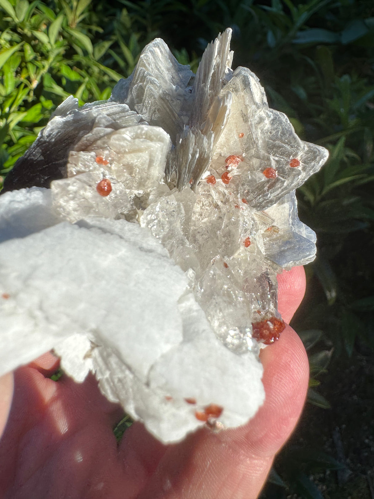 Garnet on Star Mica Specimen - 162g