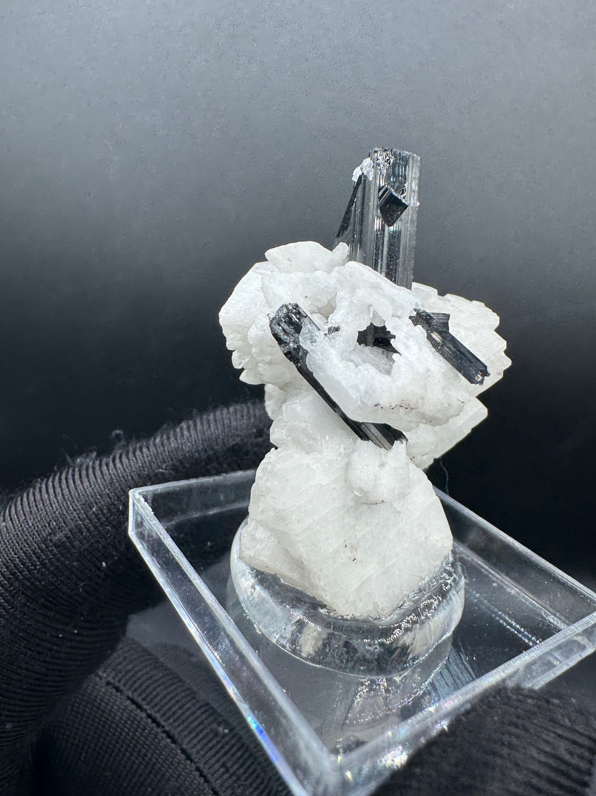 Black Tourmaline - 12g