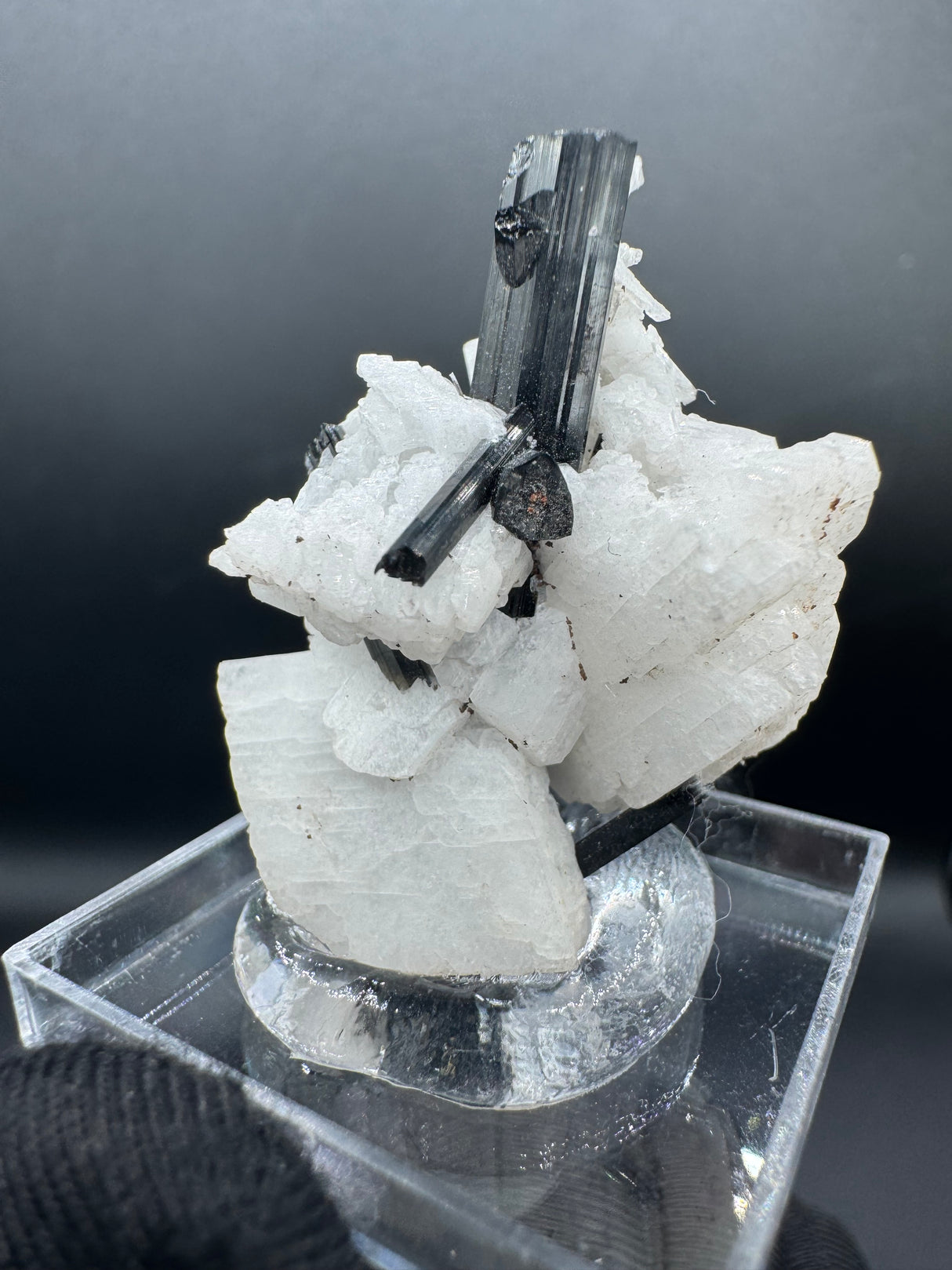 Black Tourmaline - 12g