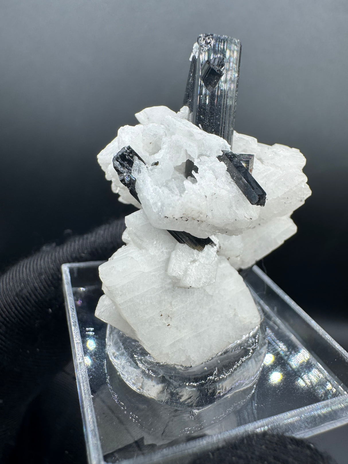 Black Tourmaline - 12g