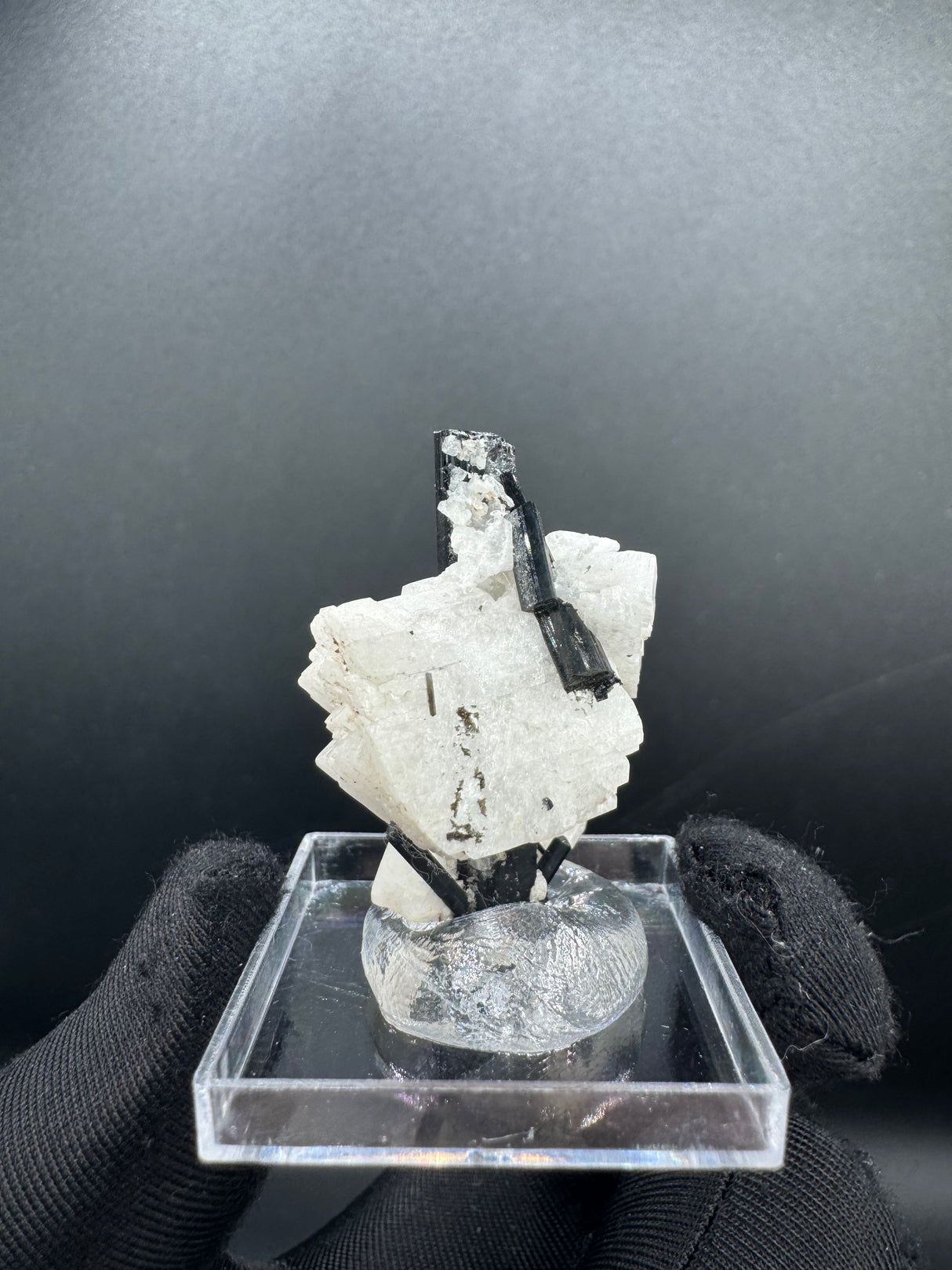 Black Tourmaline - 12g