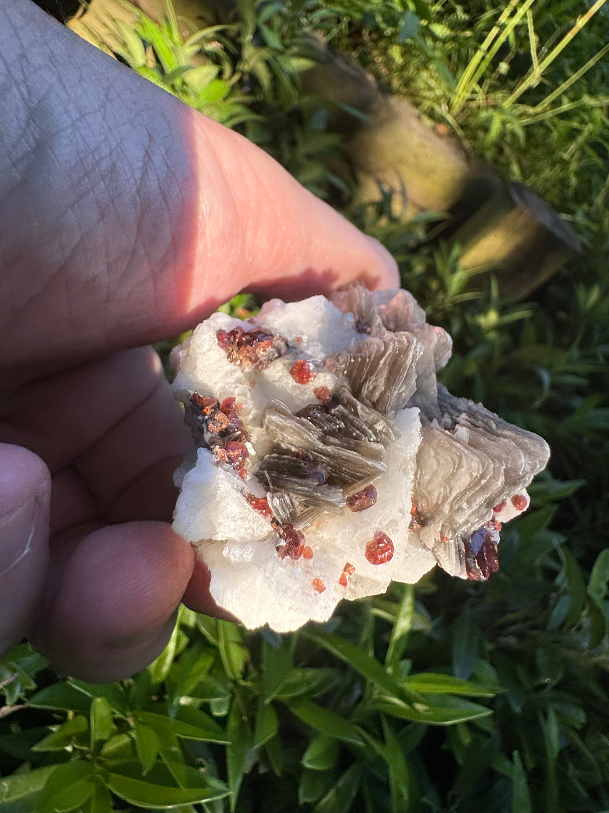 Garnet on Star Mica Specimen - 101g