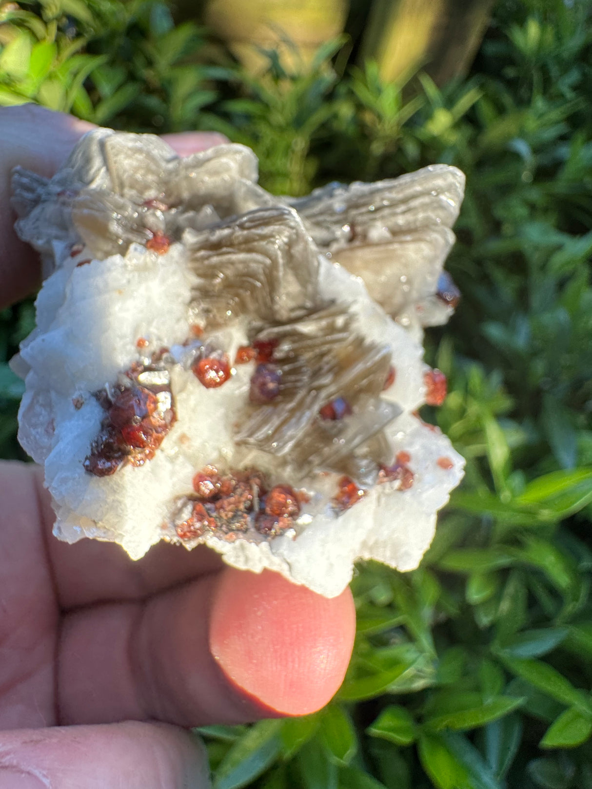 Garnet on Star Mica Specimen - 101g