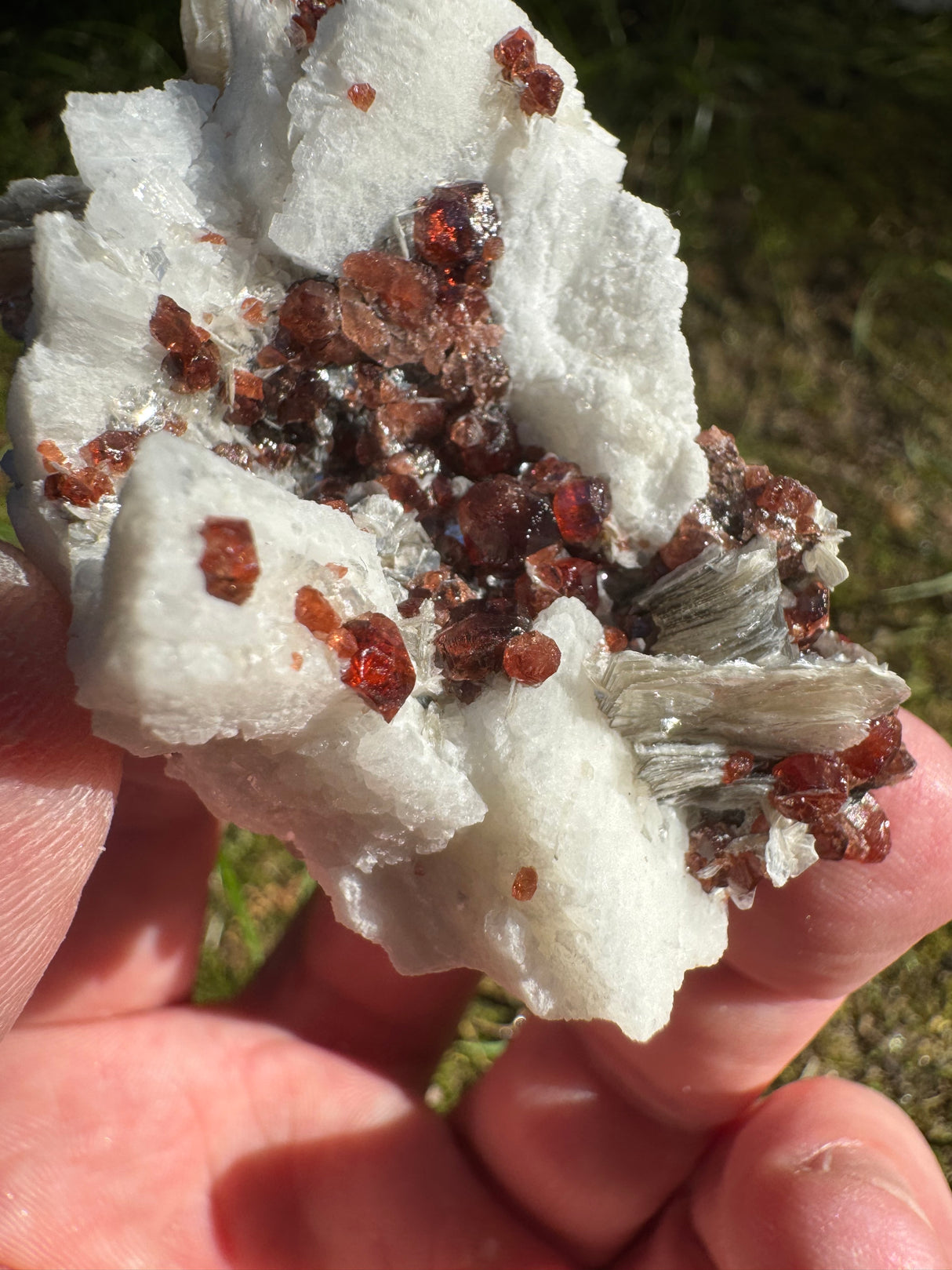 Garnet on Star Mica Specimen - 82g