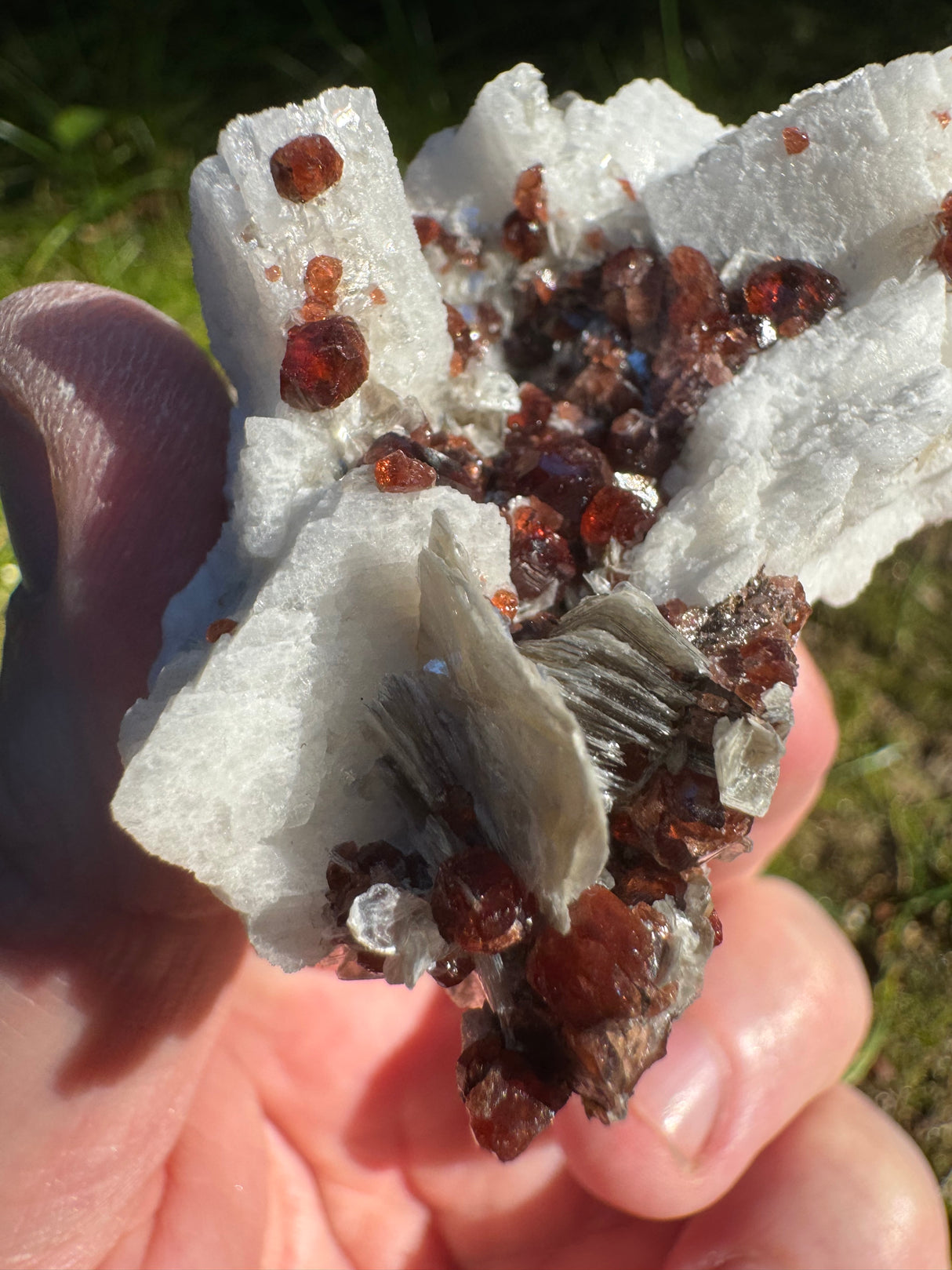 Garnet on Star Mica Specimen - 82g