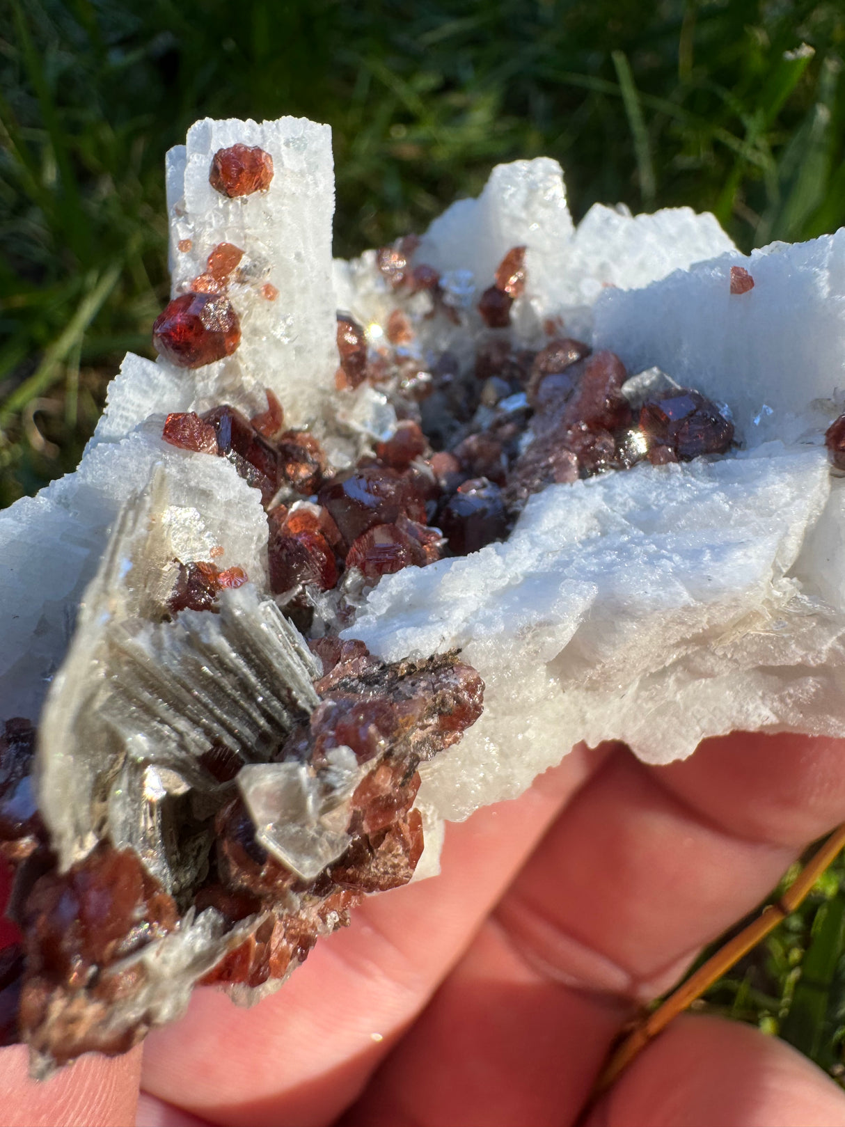 Garnet on Star Mica Specimen - 82g
