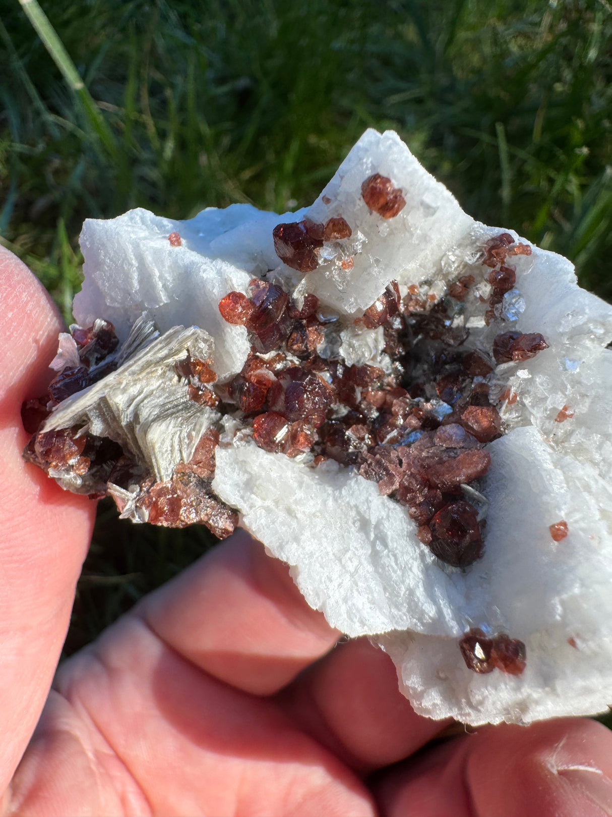 Garnet on Star Mica Specimen - 82g