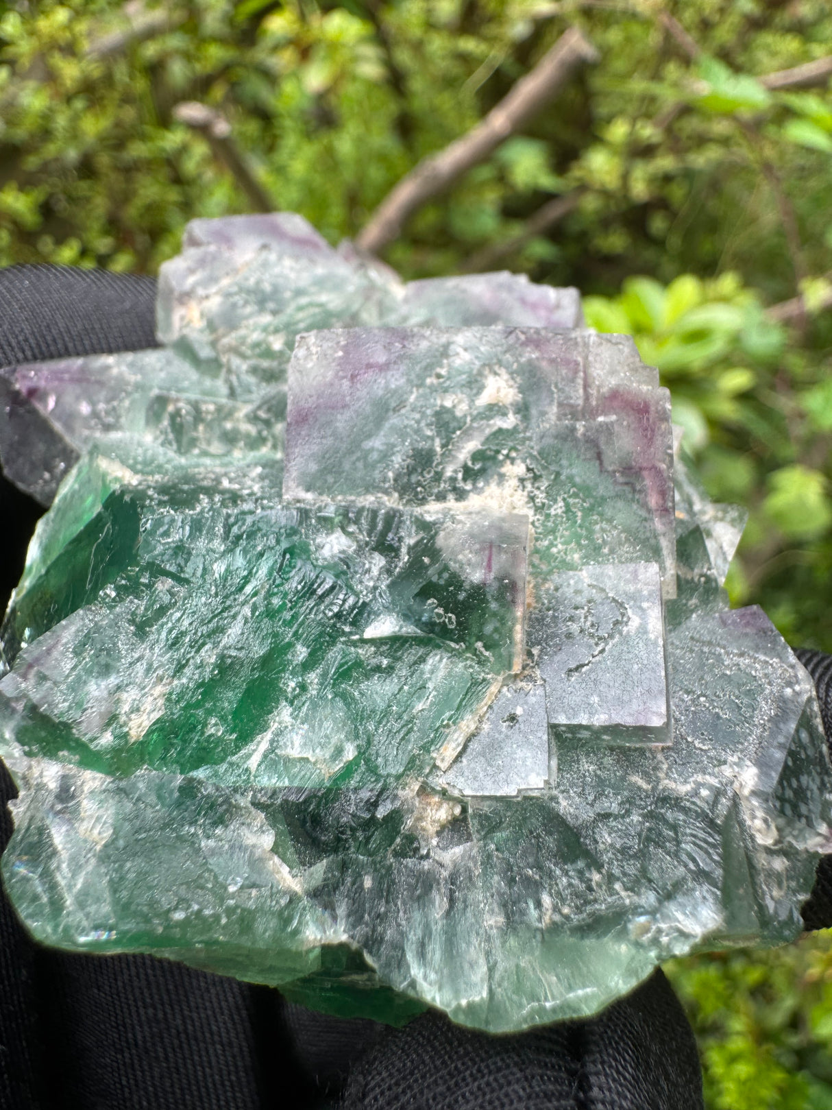 Fluorite Specimen - 153g