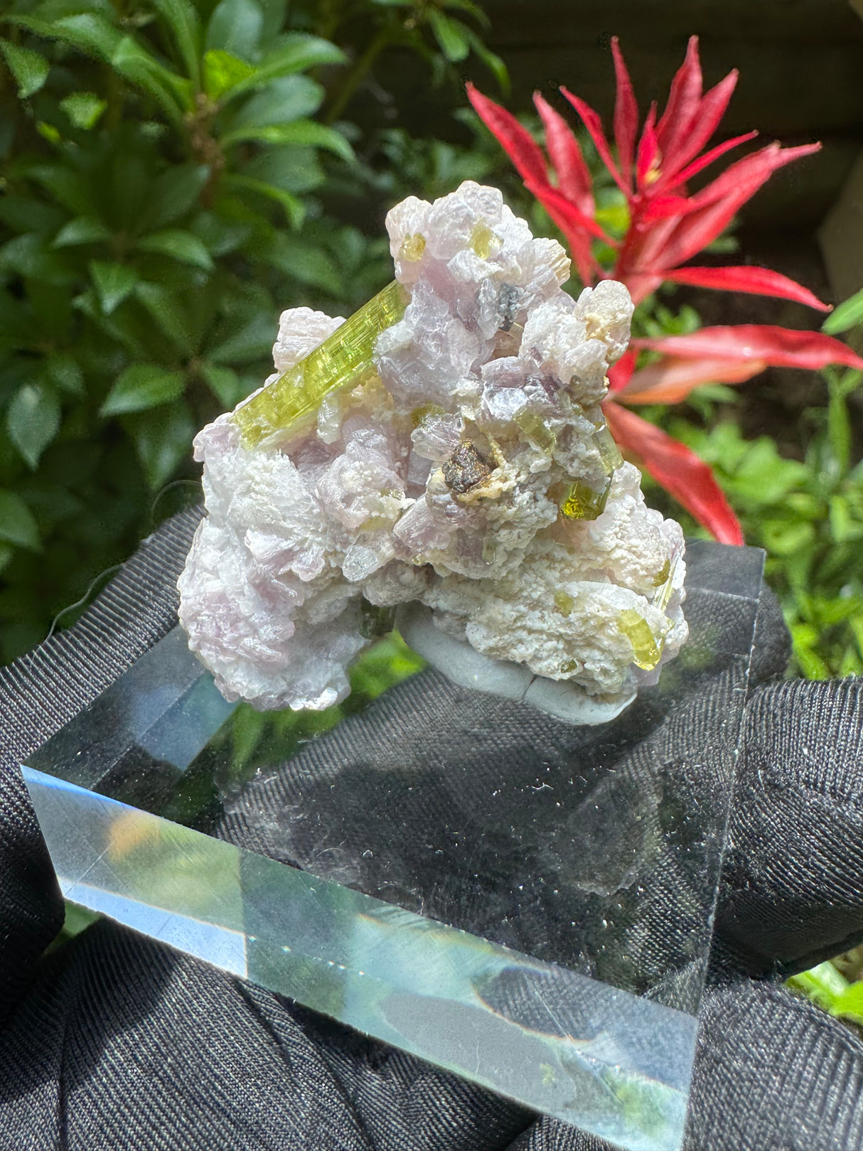 Watermelon Tourmaline Specimen - 25g