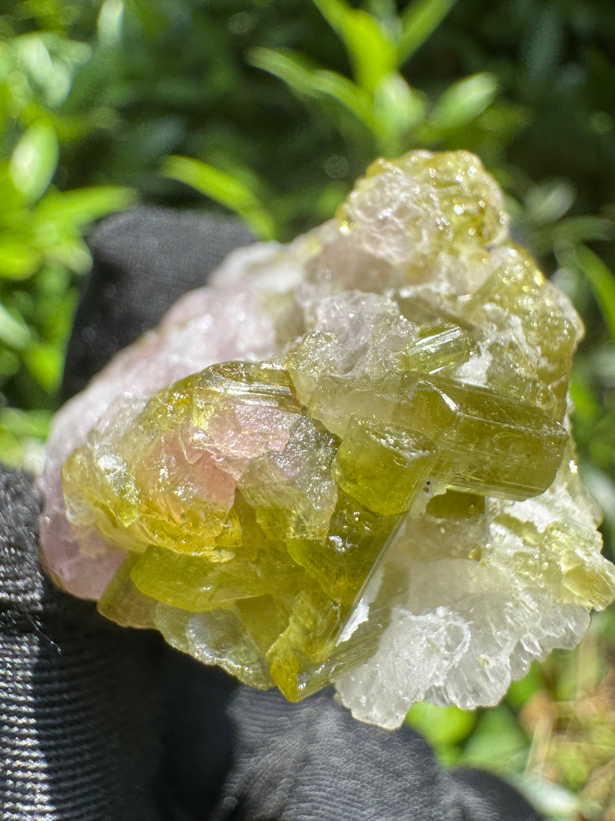 Watermelon Tourmaline Specimen - 23g