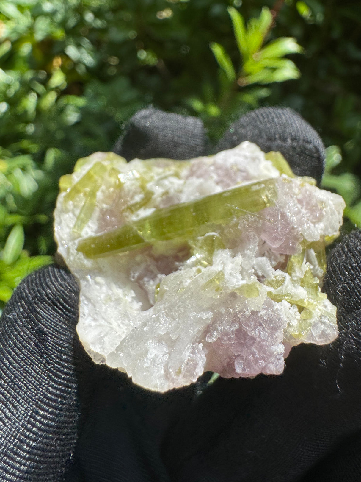 Watermelon Tourmaline Specimen - 35g