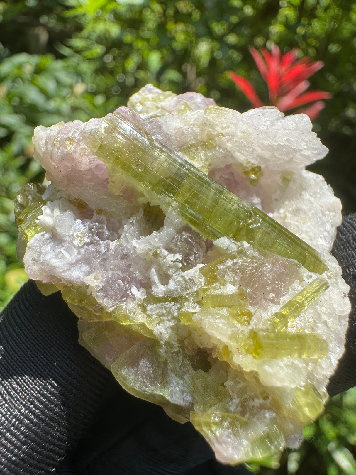 Watermelon Tourmaline Specimen - 35g