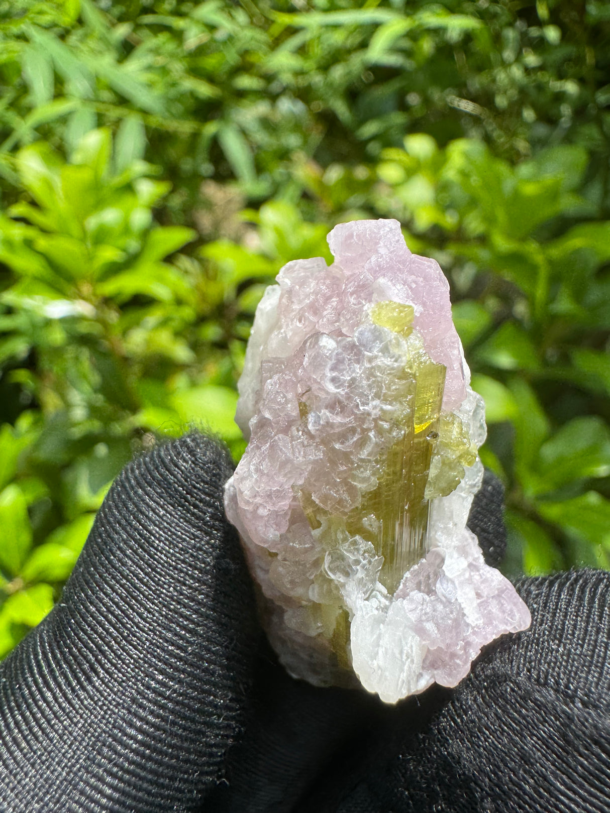Watermelon Tourmaline Specimen - 18g