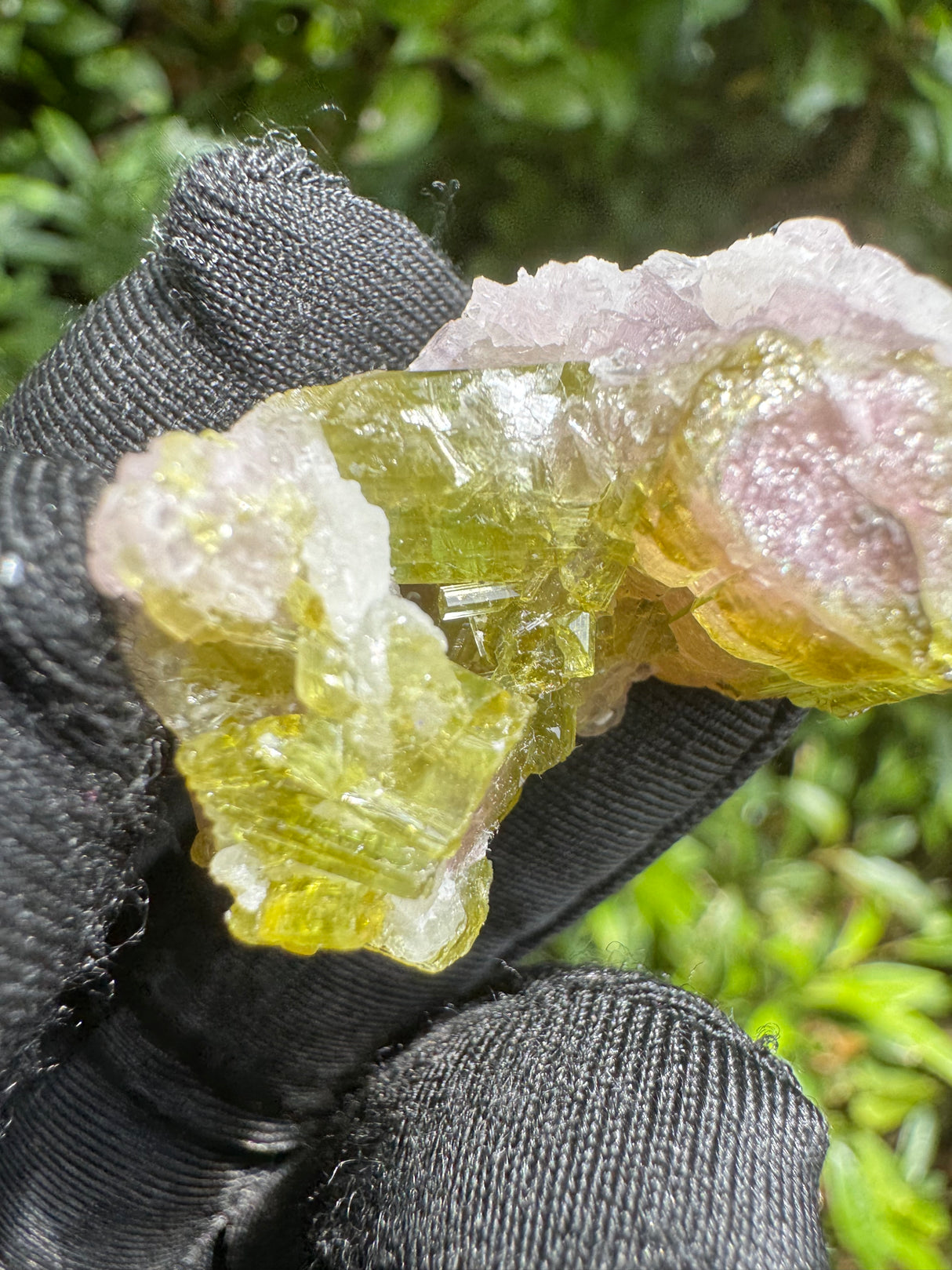 Watermelon Tourmaline Specimen - 18g