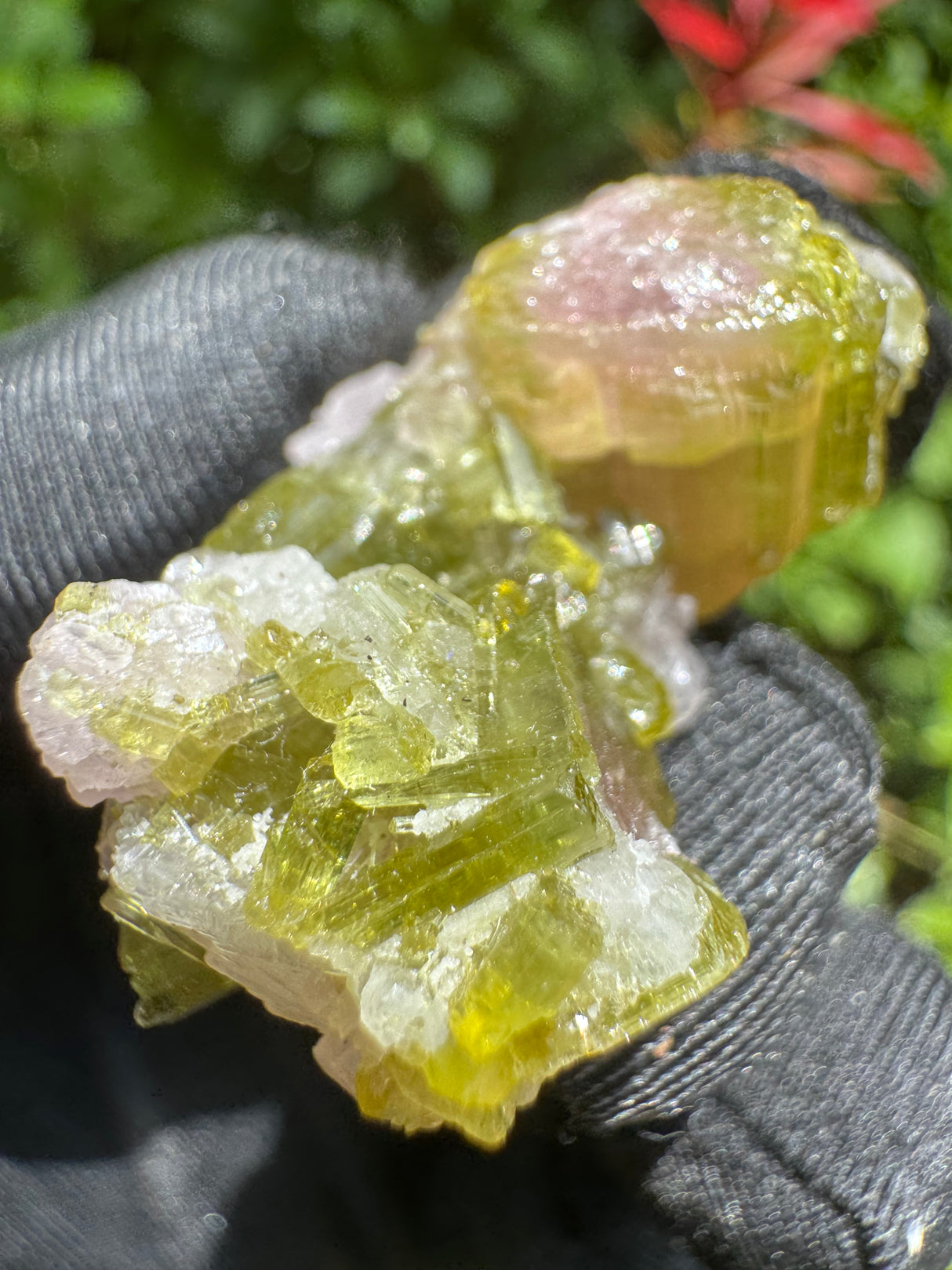 Watermelon Tourmaline Specimen - 18g