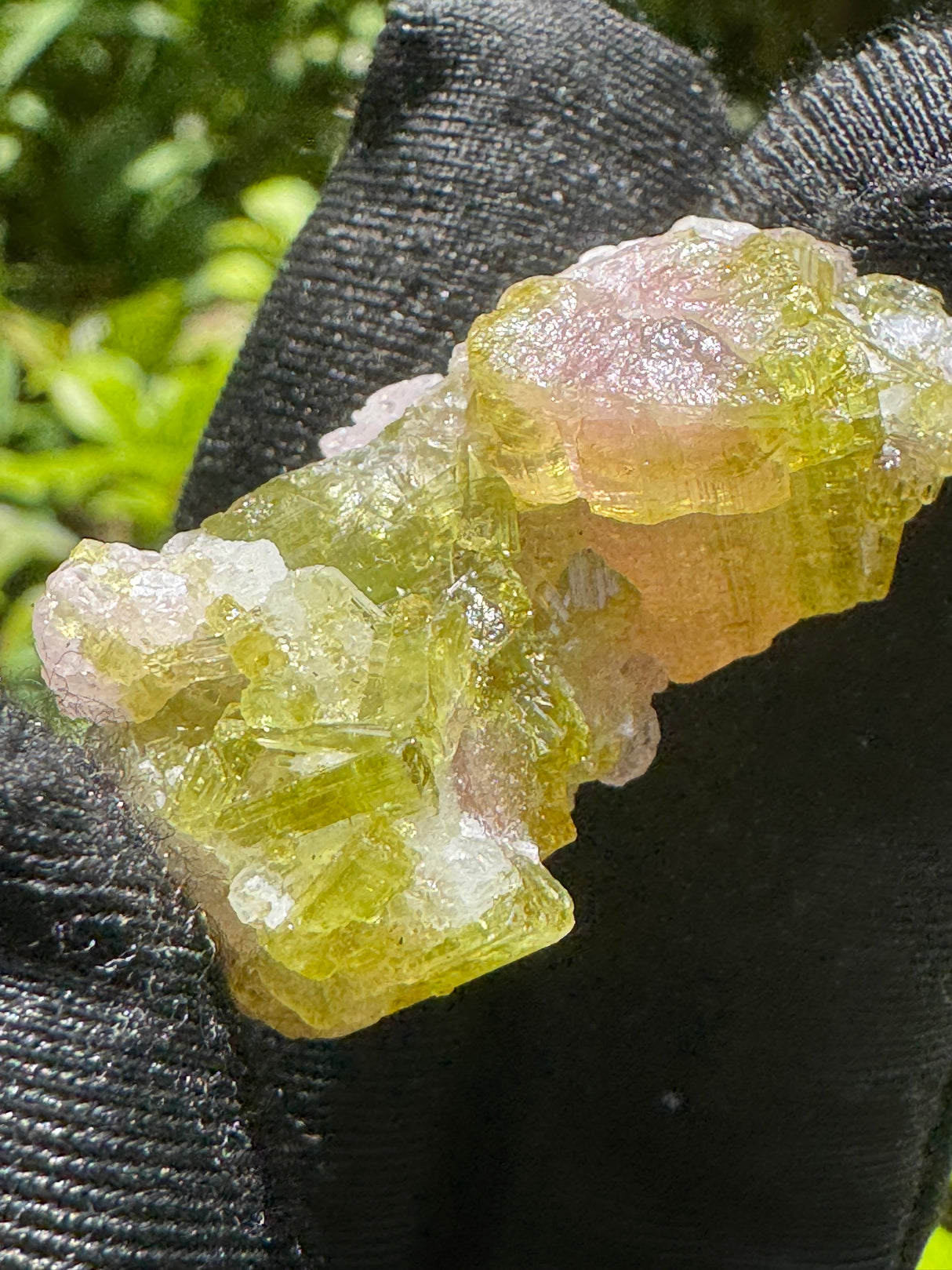 Watermelon Tourmaline Specimen - 18g