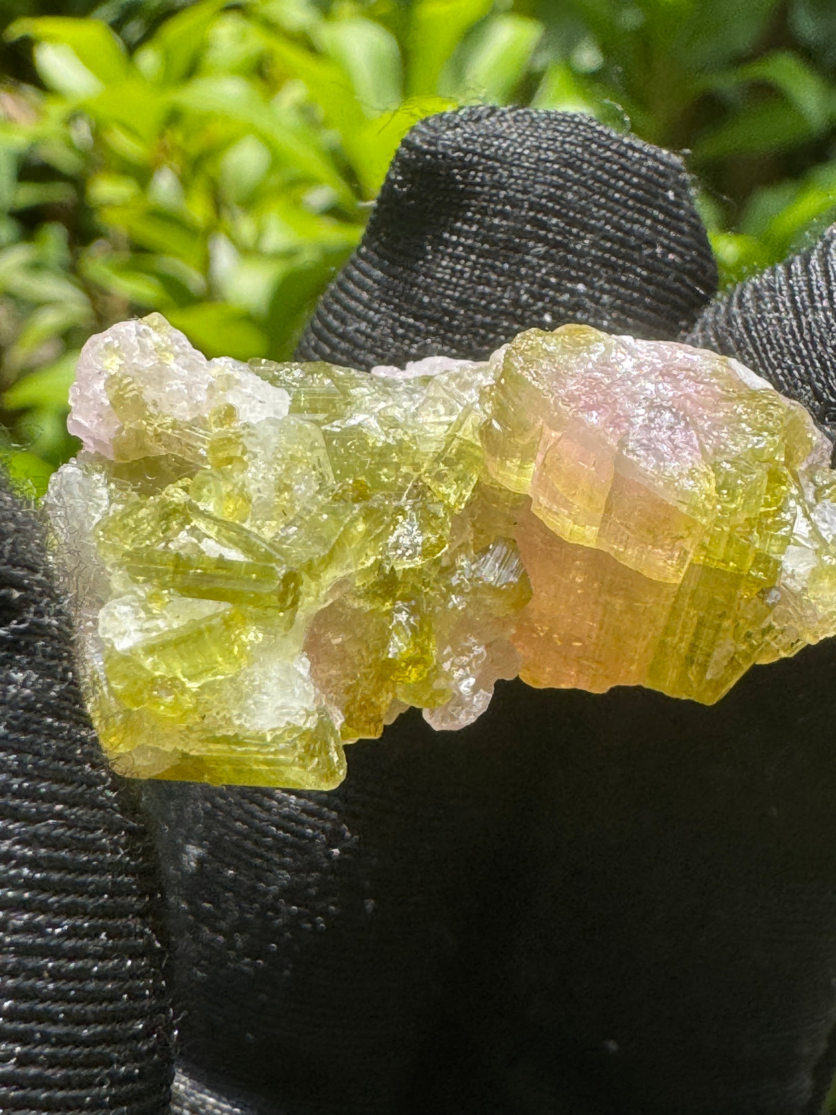 Watermelon Tourmaline Specimen - 17g