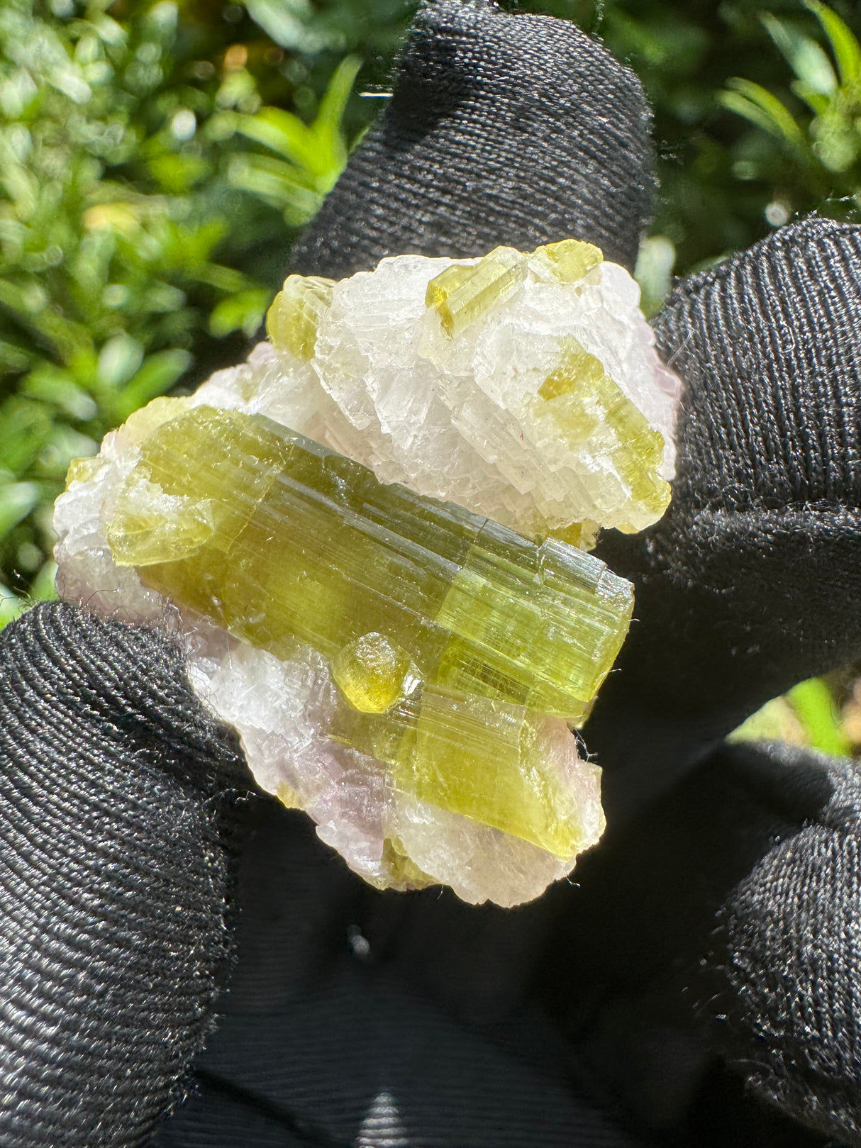 Watermelon Tourmaline Specimen - 12g