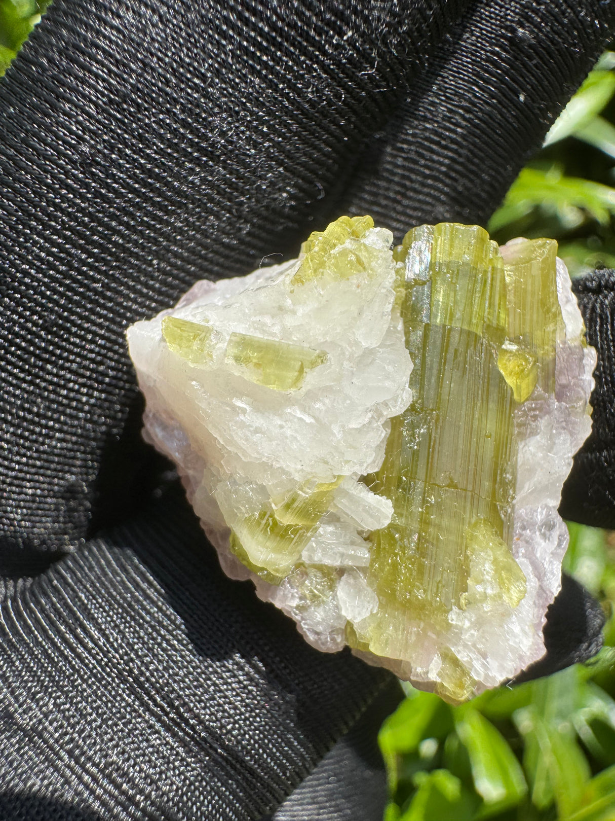 Watermelon Tourmaline Specimen - 12g