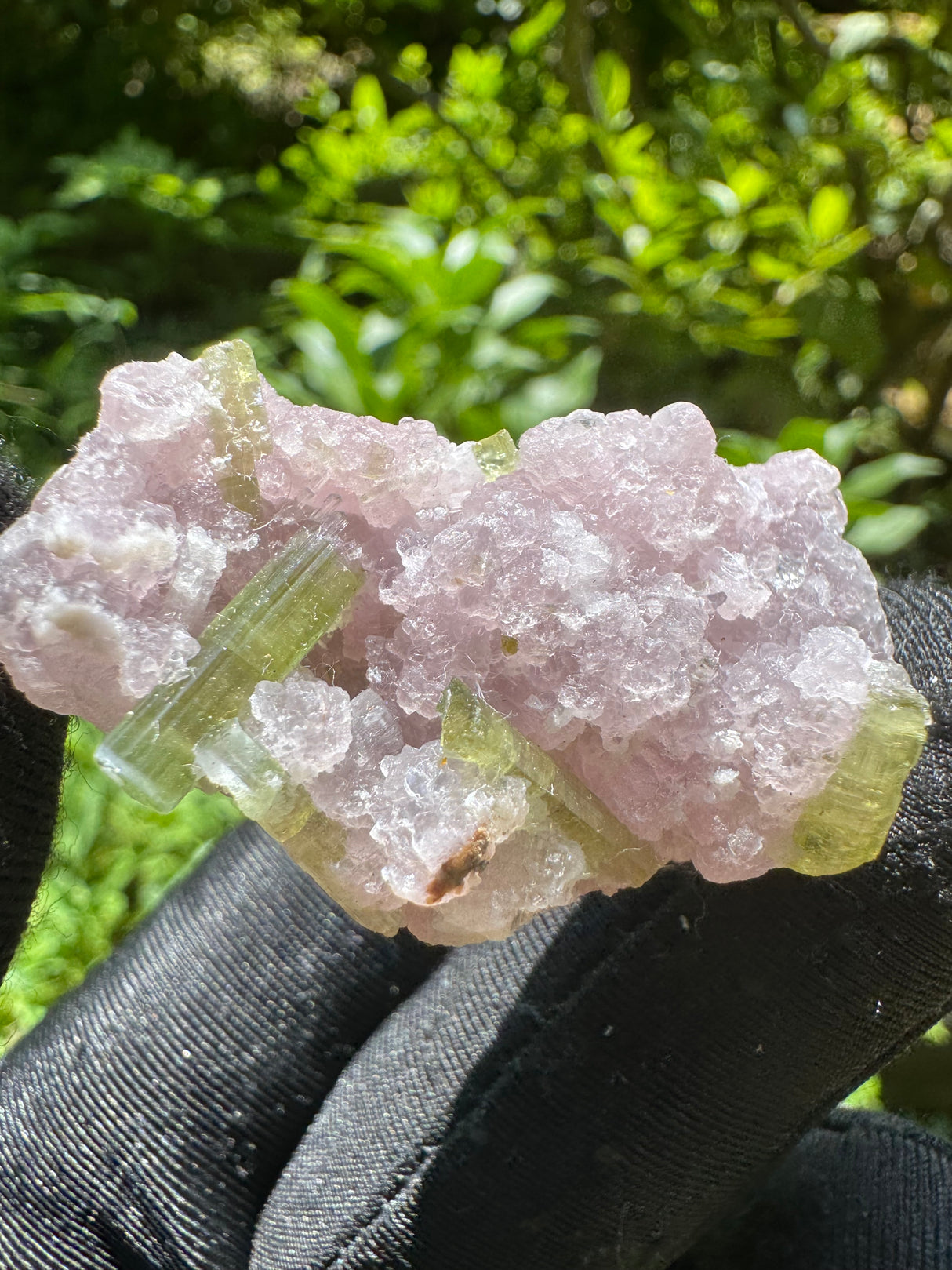 Watermelon Tourmaline Specimen - 24g
