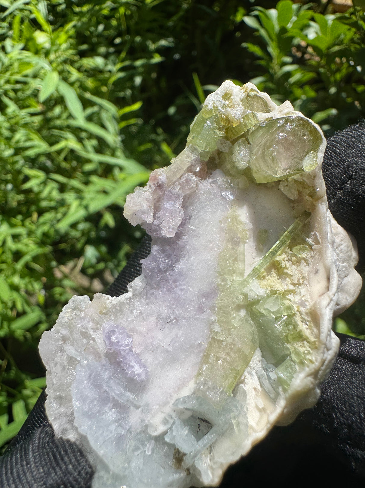 Watermelon Tourmaline Specimen - 24g