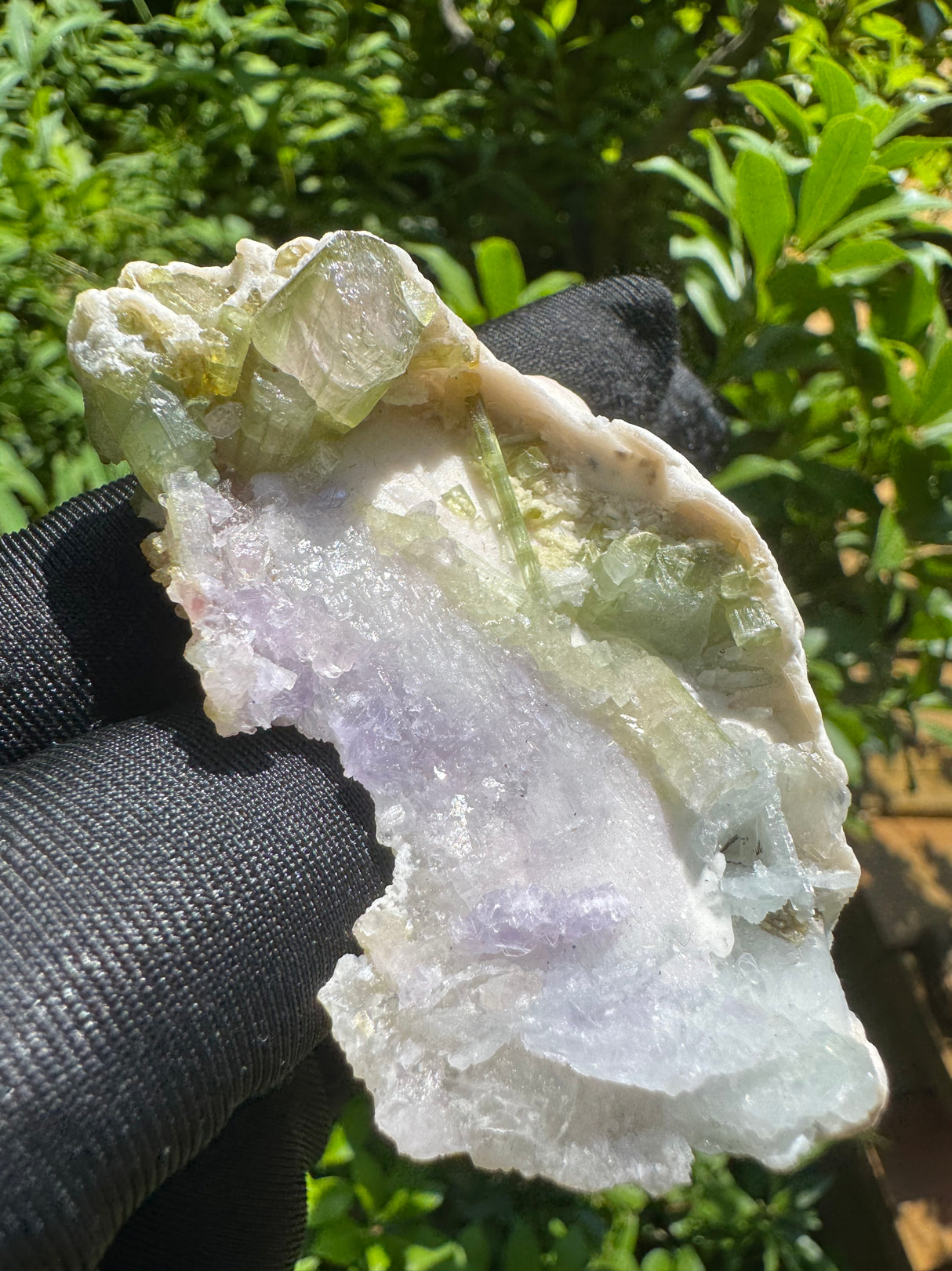 Watermelon Tourmaline Specimen - 24g