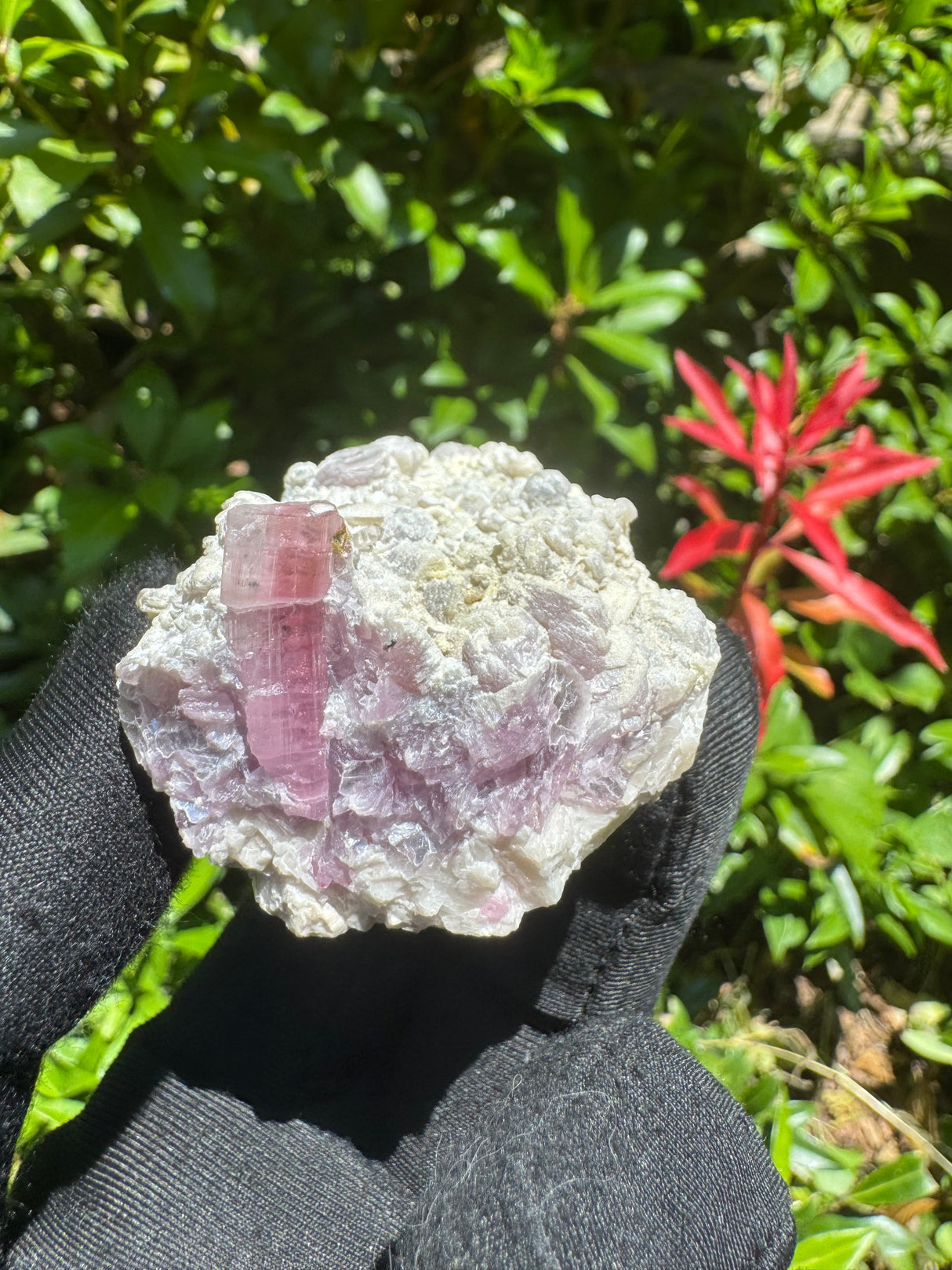 Pink Tourmaline Specimen - 100g